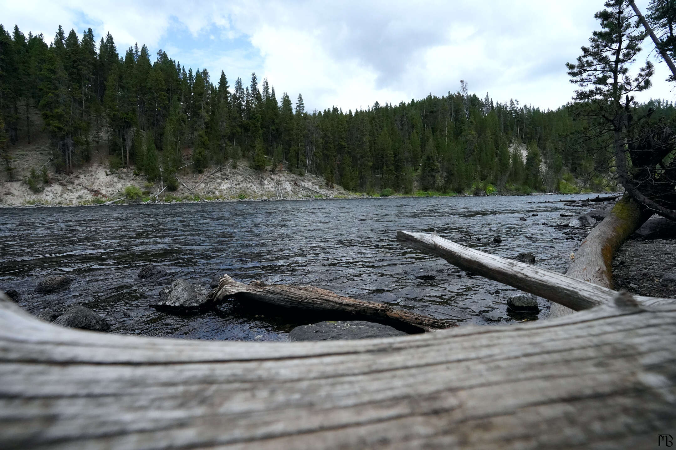 Blue river near forest at Yellowstone