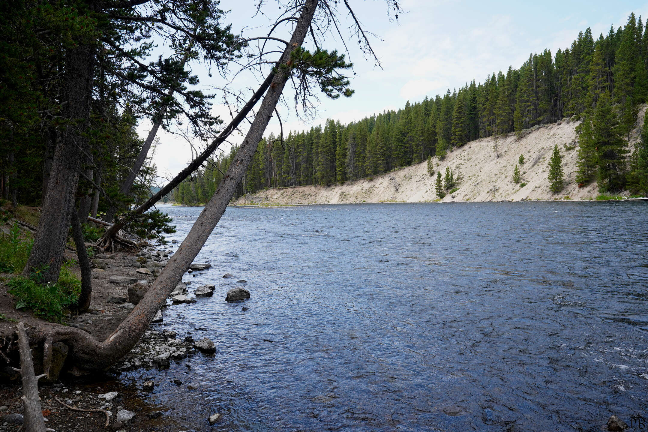 Blue river flowing through forest at Yellowstone