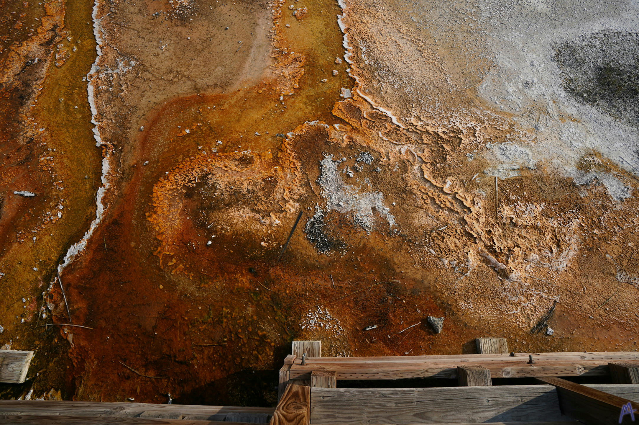 Orange and white texture of hot spring runoff at Yellowstone