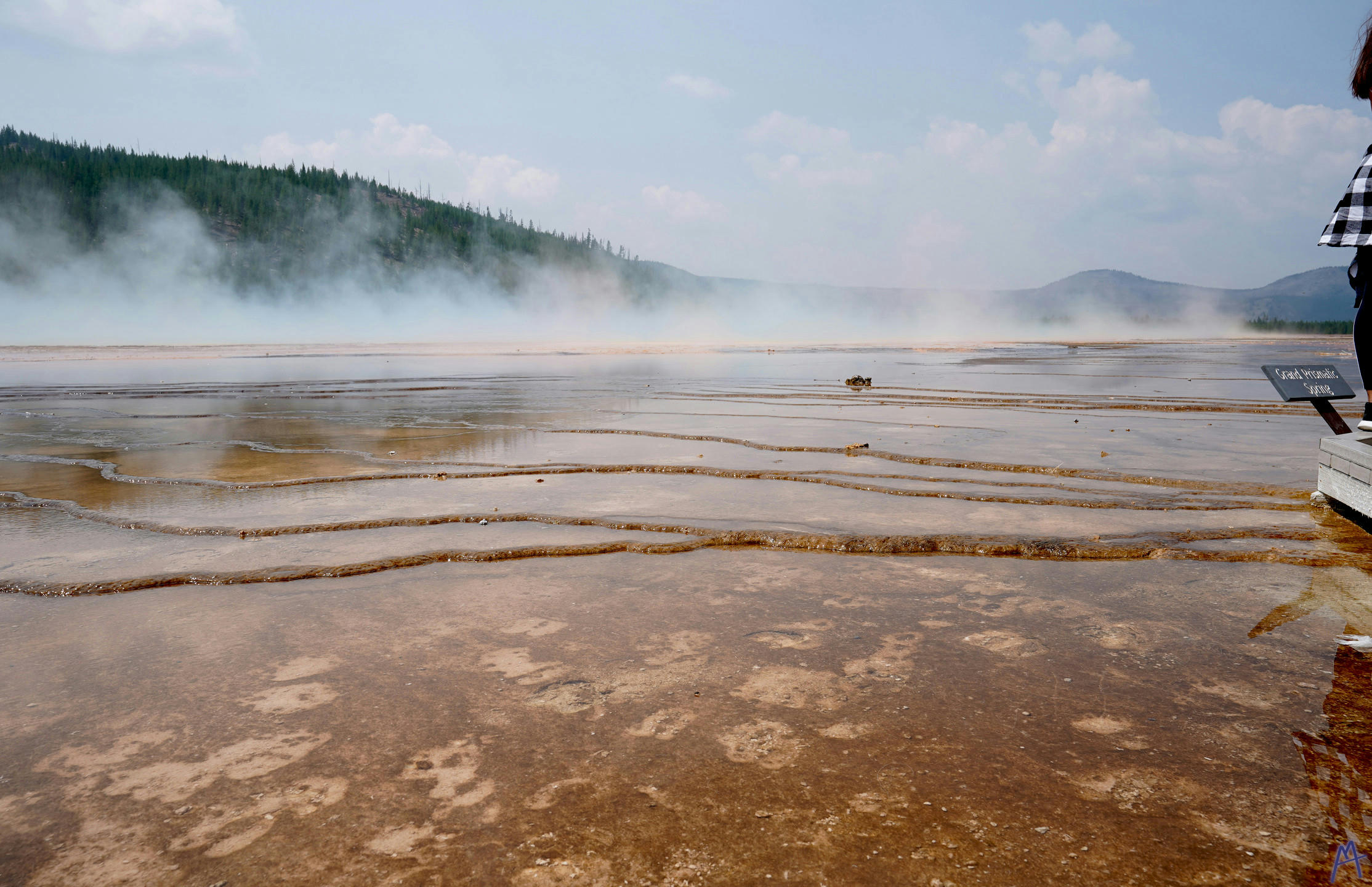 Orange terrace near a boardwalk at Yellowstone