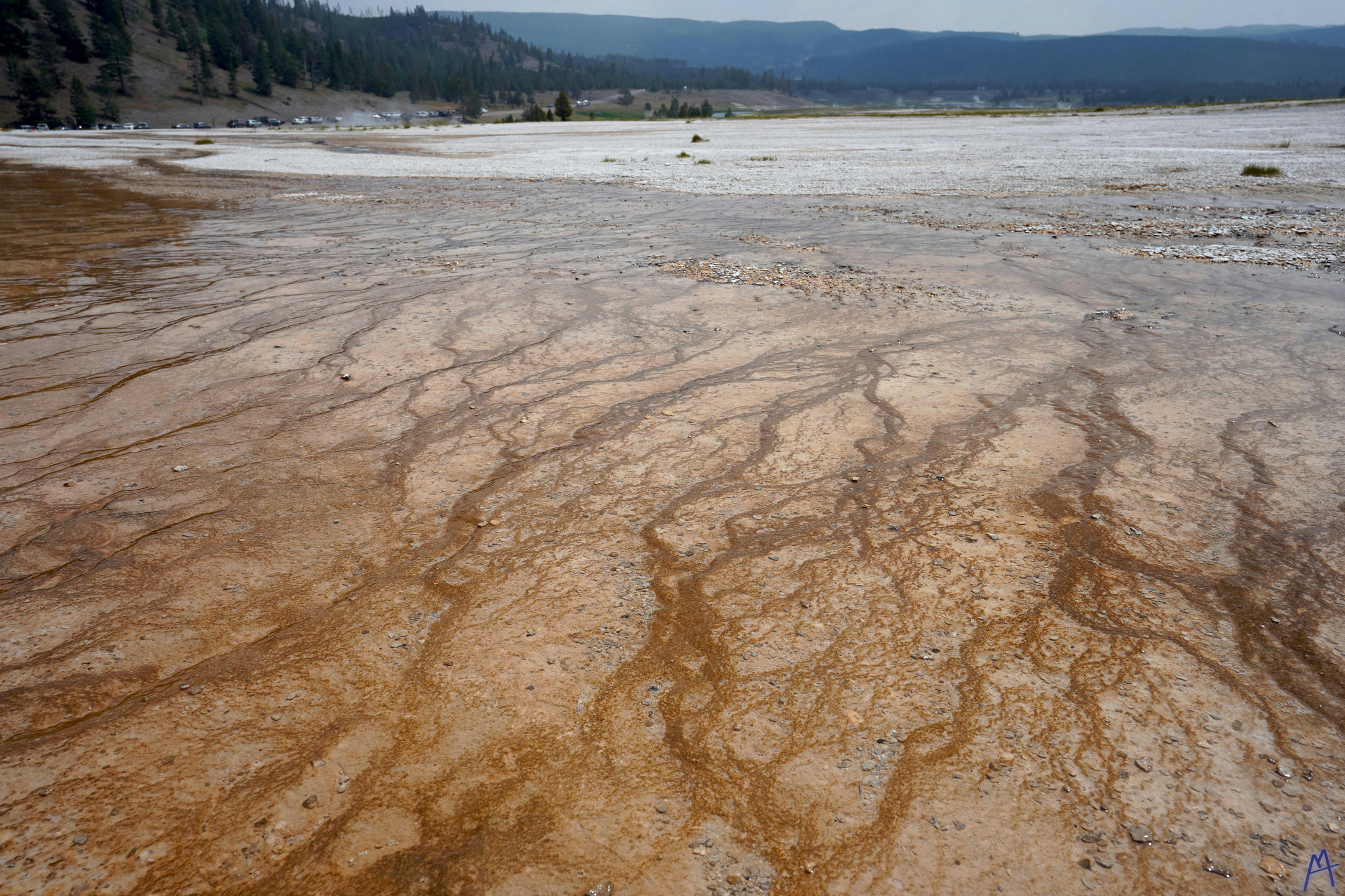 Veins of orange hot spring runoff at Yellowstone