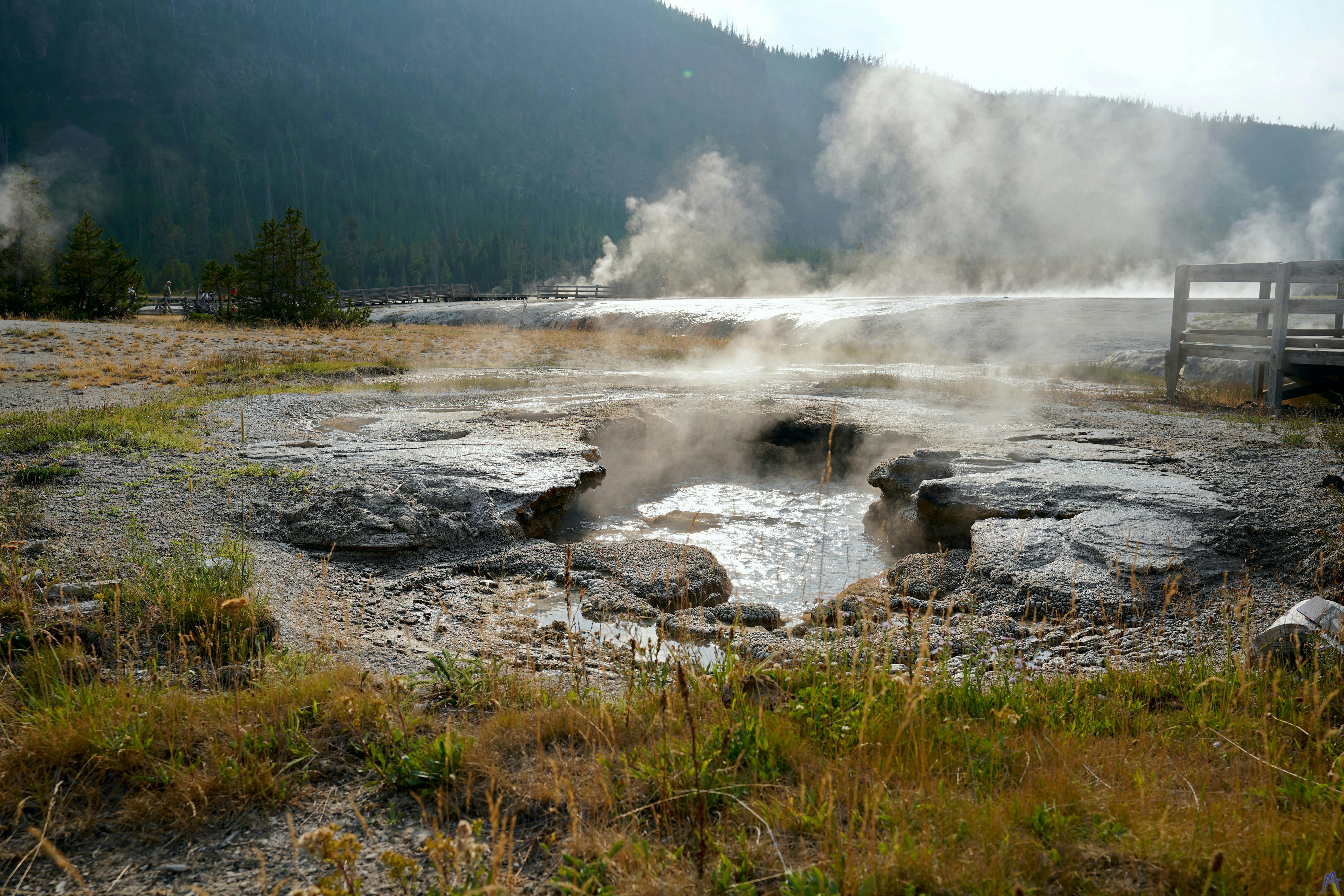 Hot spring venting steam near boardwalk at Yellowstone