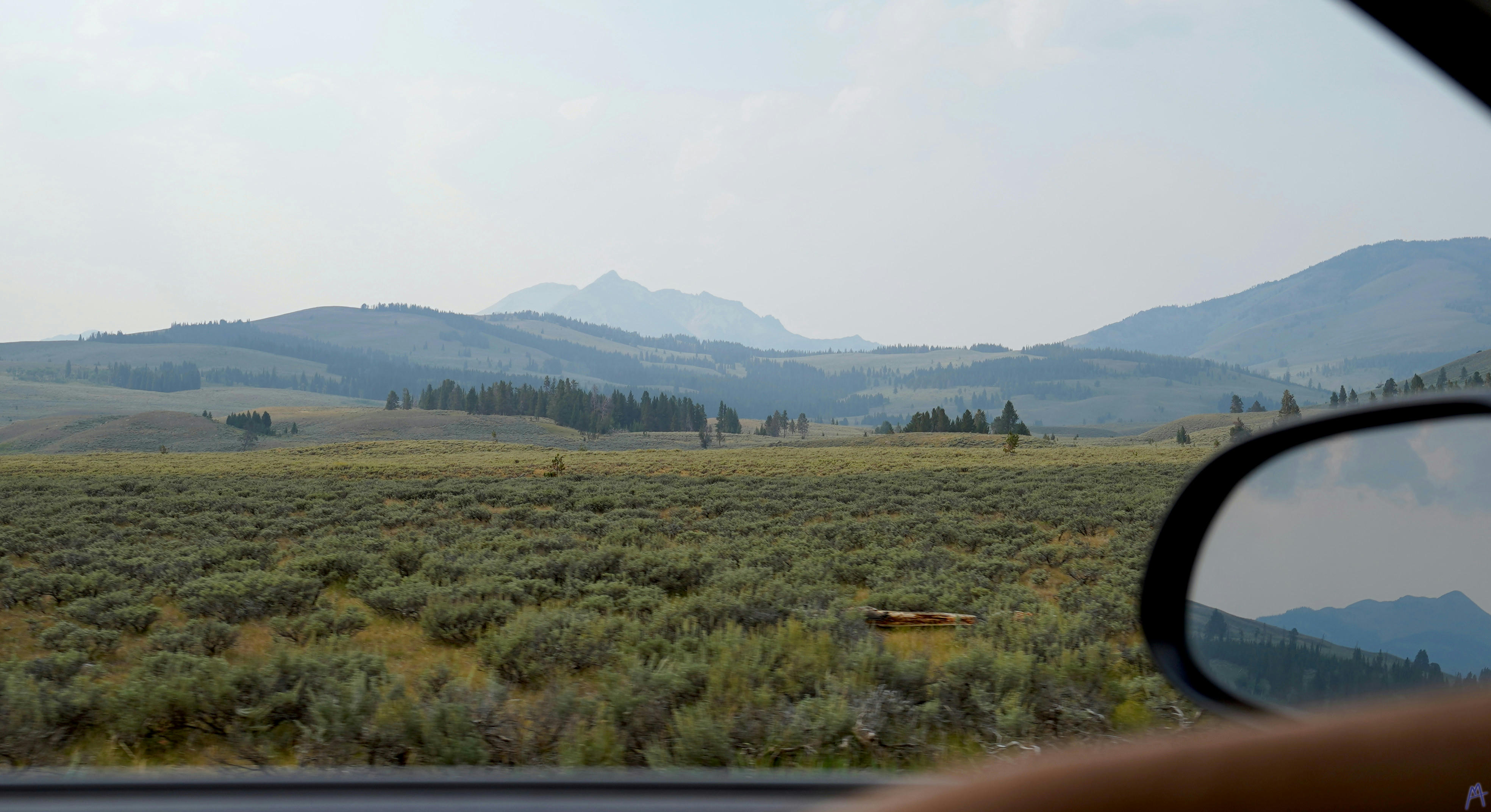 Green plains and mountains at Yellowstone