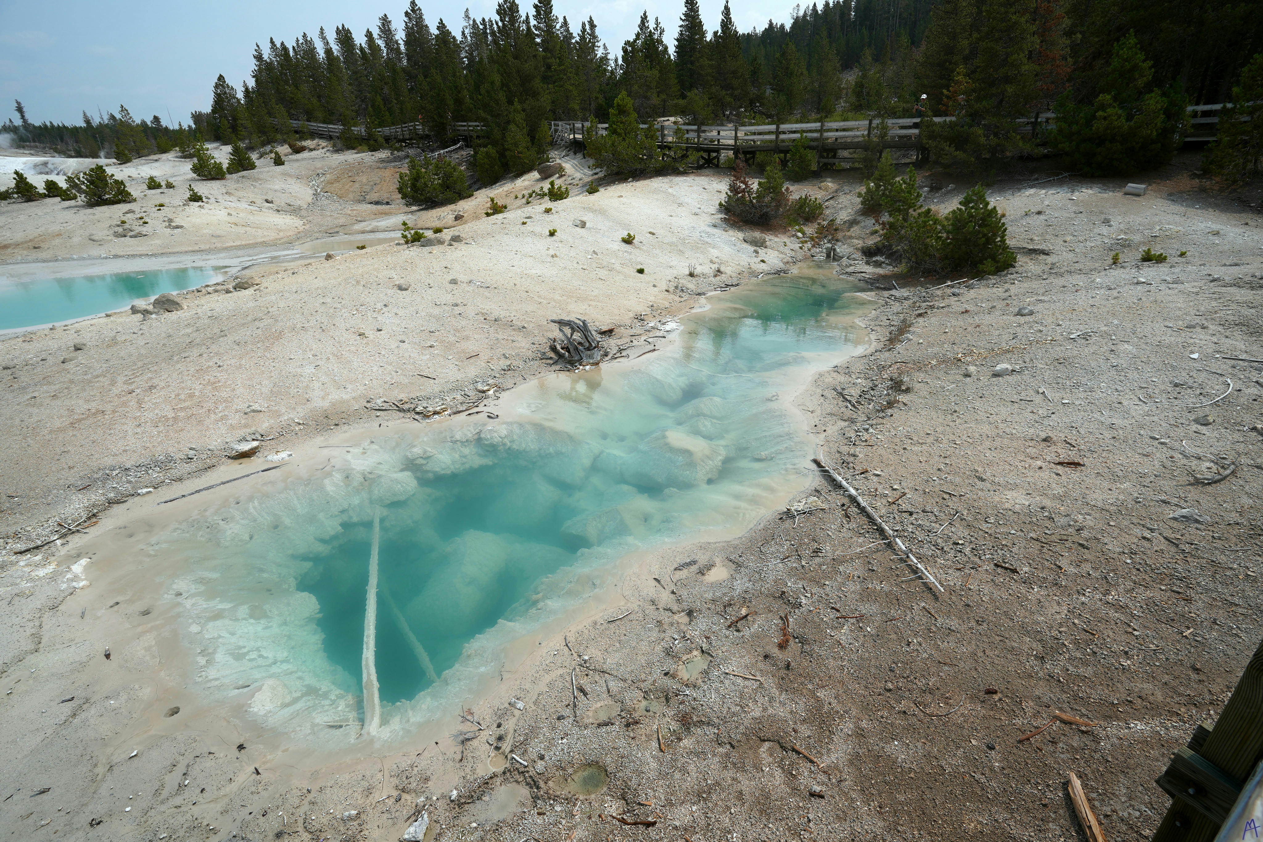 Blue hot spring near boardwalk and trees at Yellowstone