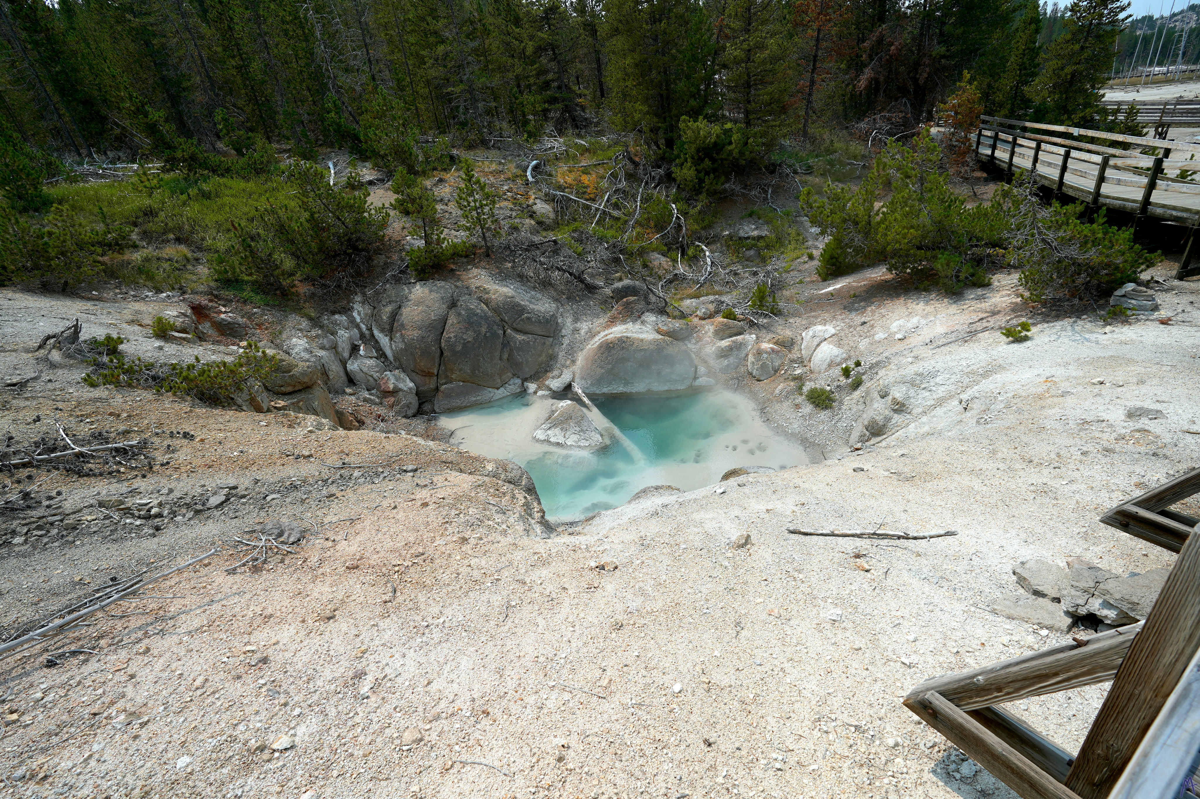 Sinking blue hot spring near boardwalk and trees at Yellowstone