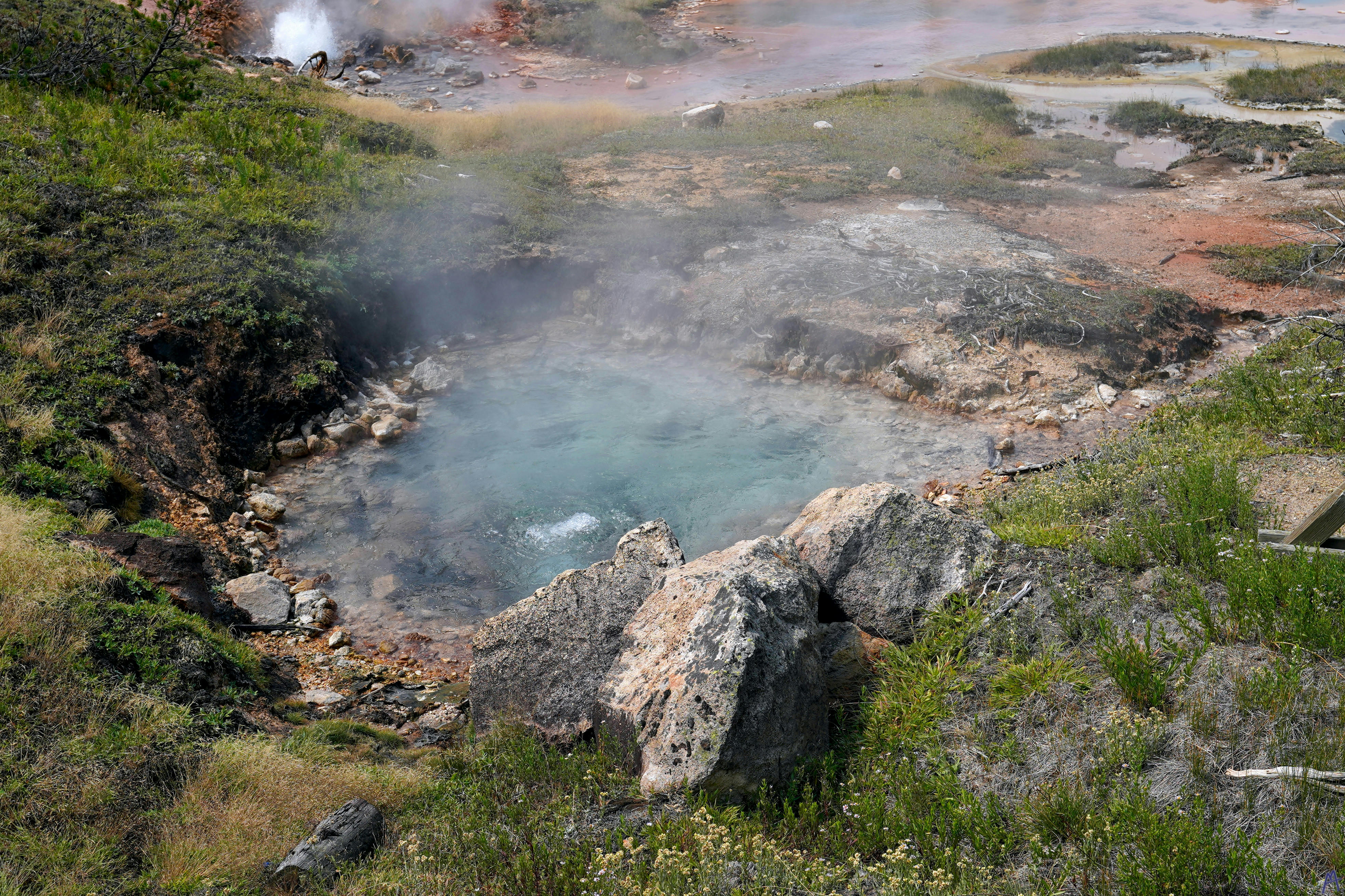 Hot spring venting steam near green grass at Yellowstone