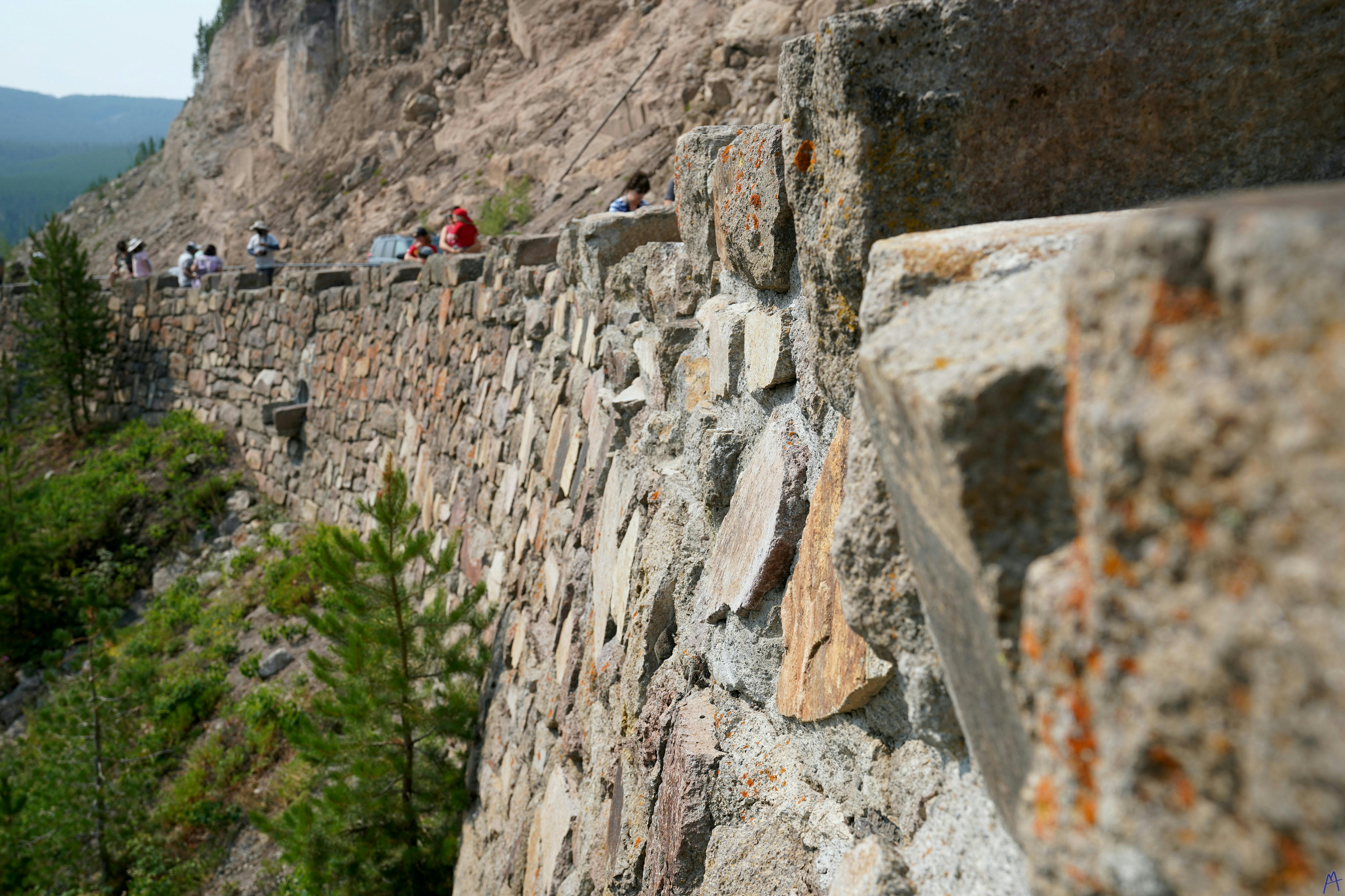 Wall of stones near trees at Yellowstone