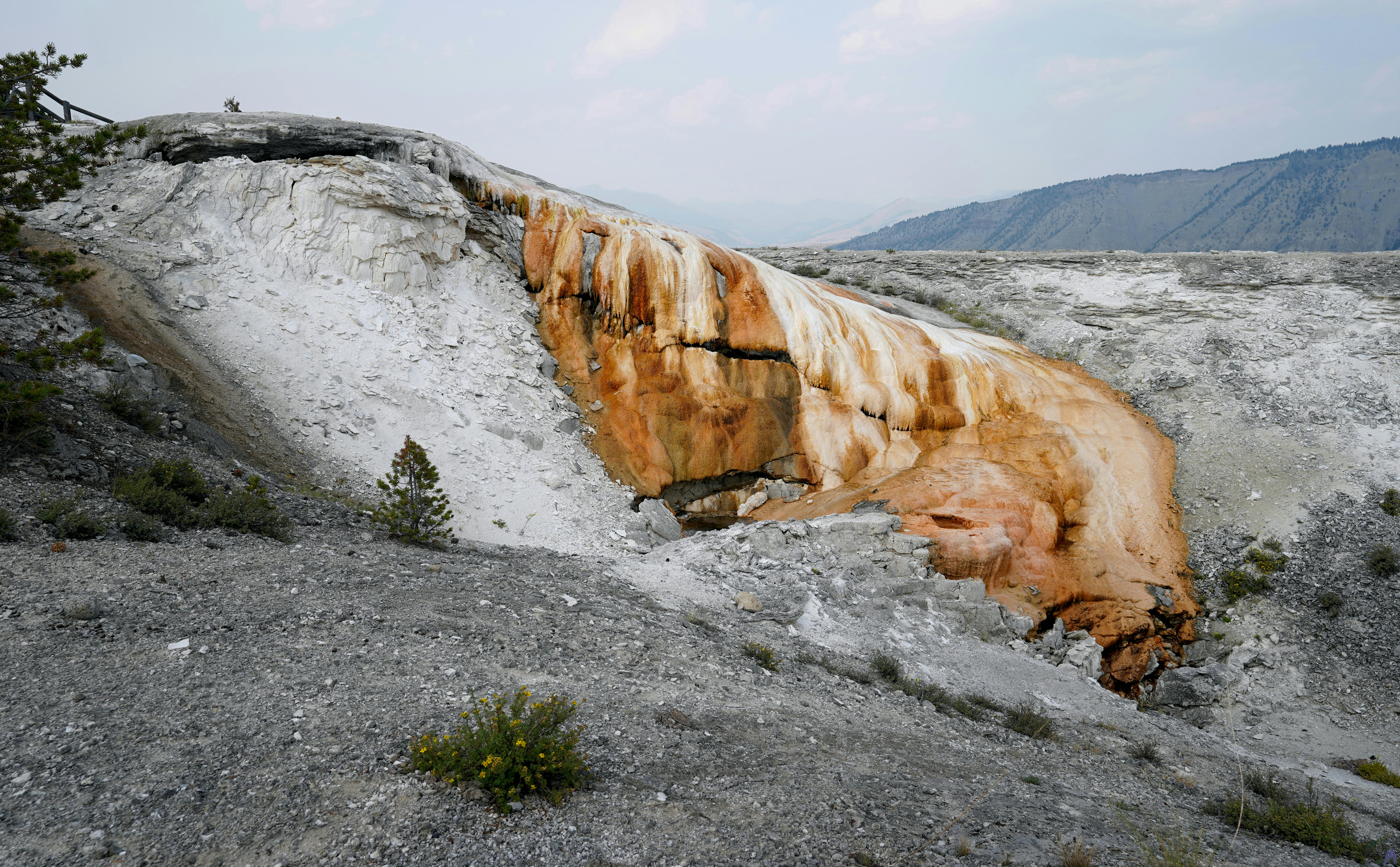 Orange hot spring runoff down a hill with stark white around it at Yellowstone