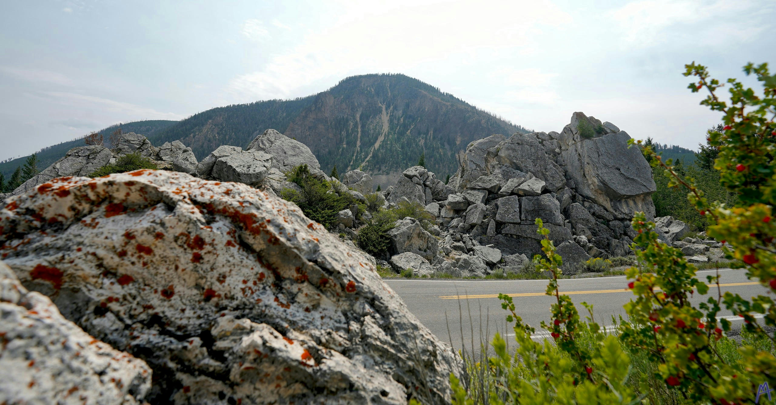 Rock with red spots near road and mountain at Yellowstone