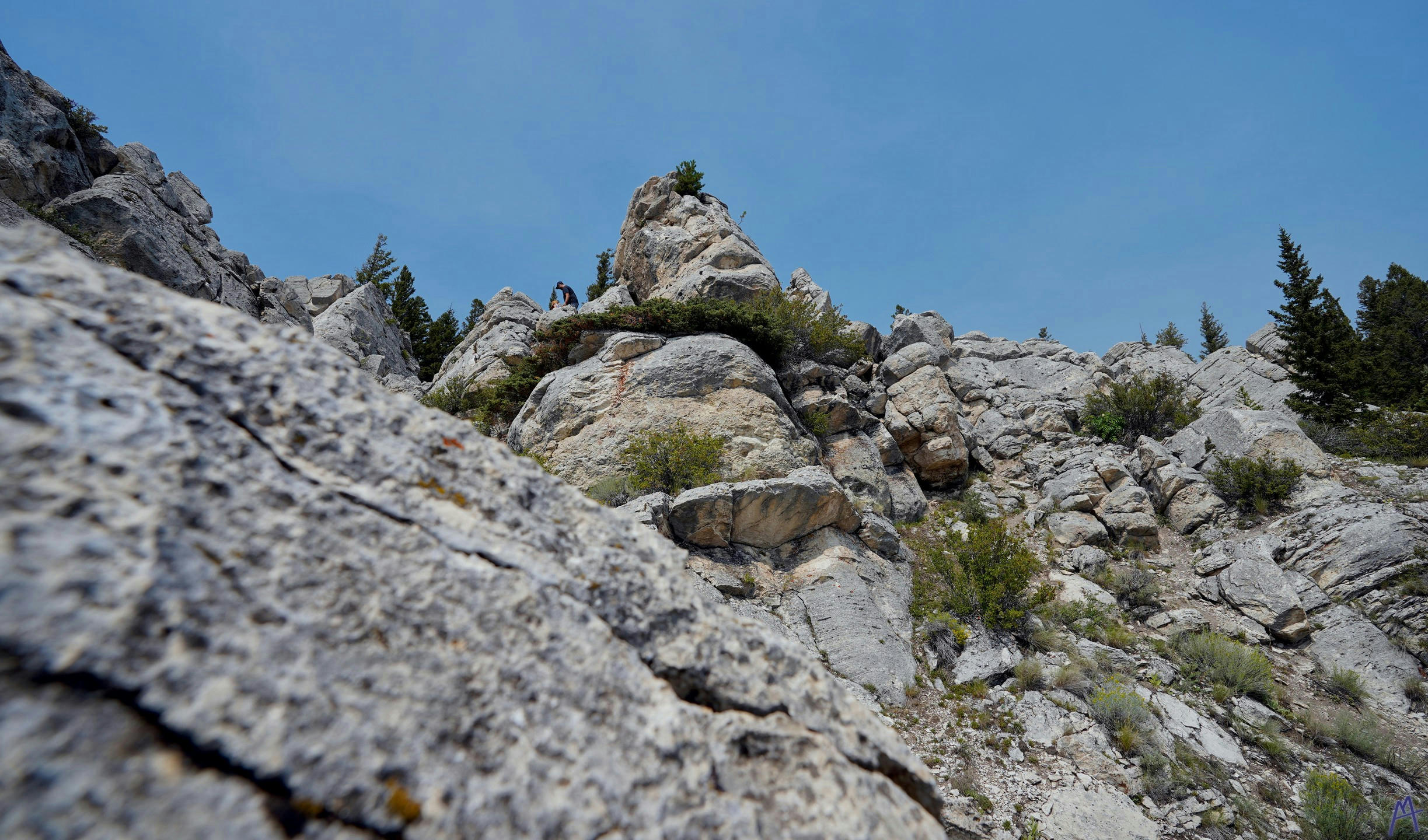 Spire of stone and rock with ferns at Yellowstone