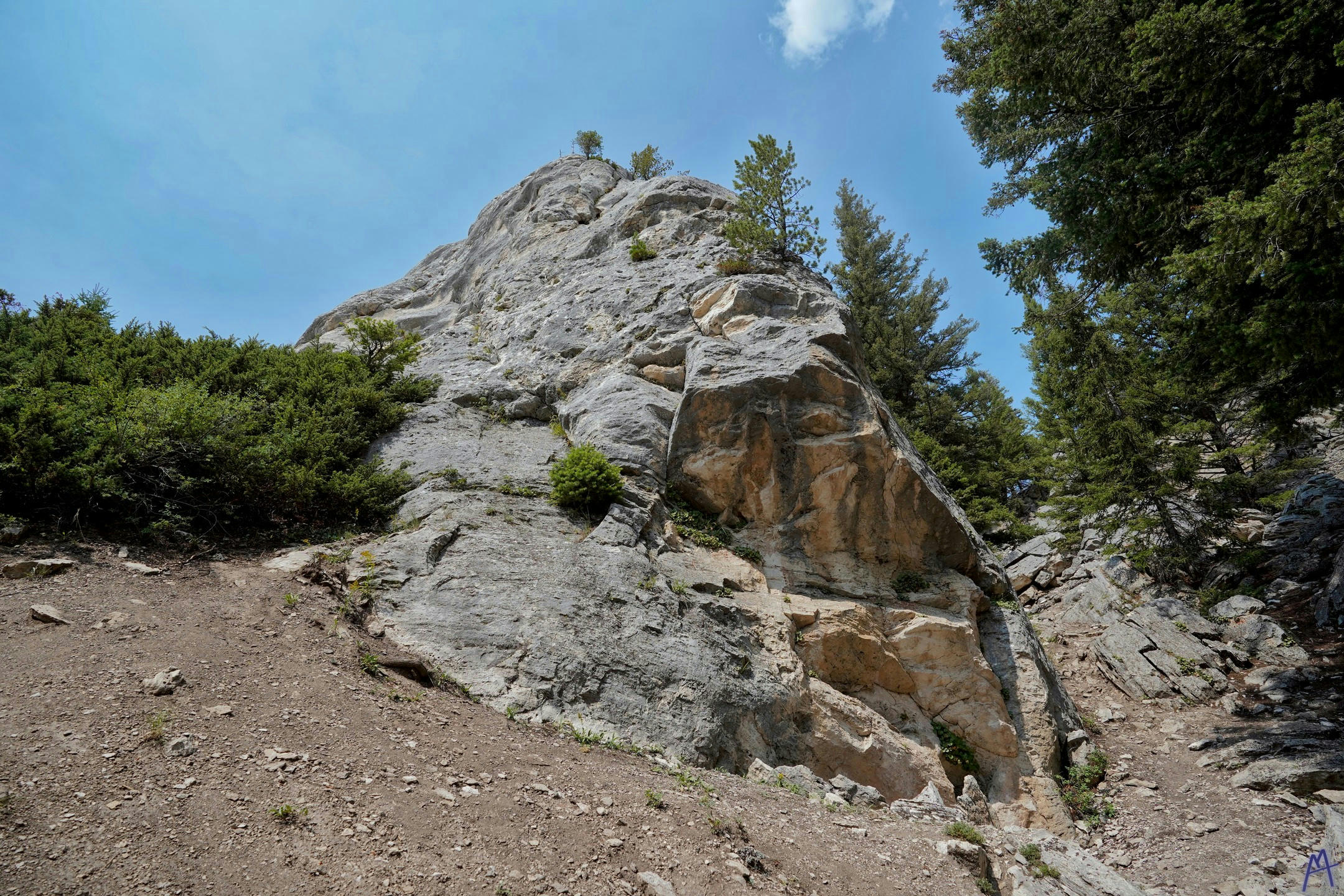 Big rock with vegetation growing on it at Yellowstone