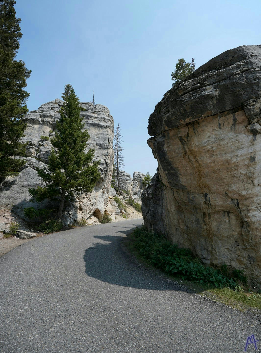 Windy path through rocks at Yellowstone