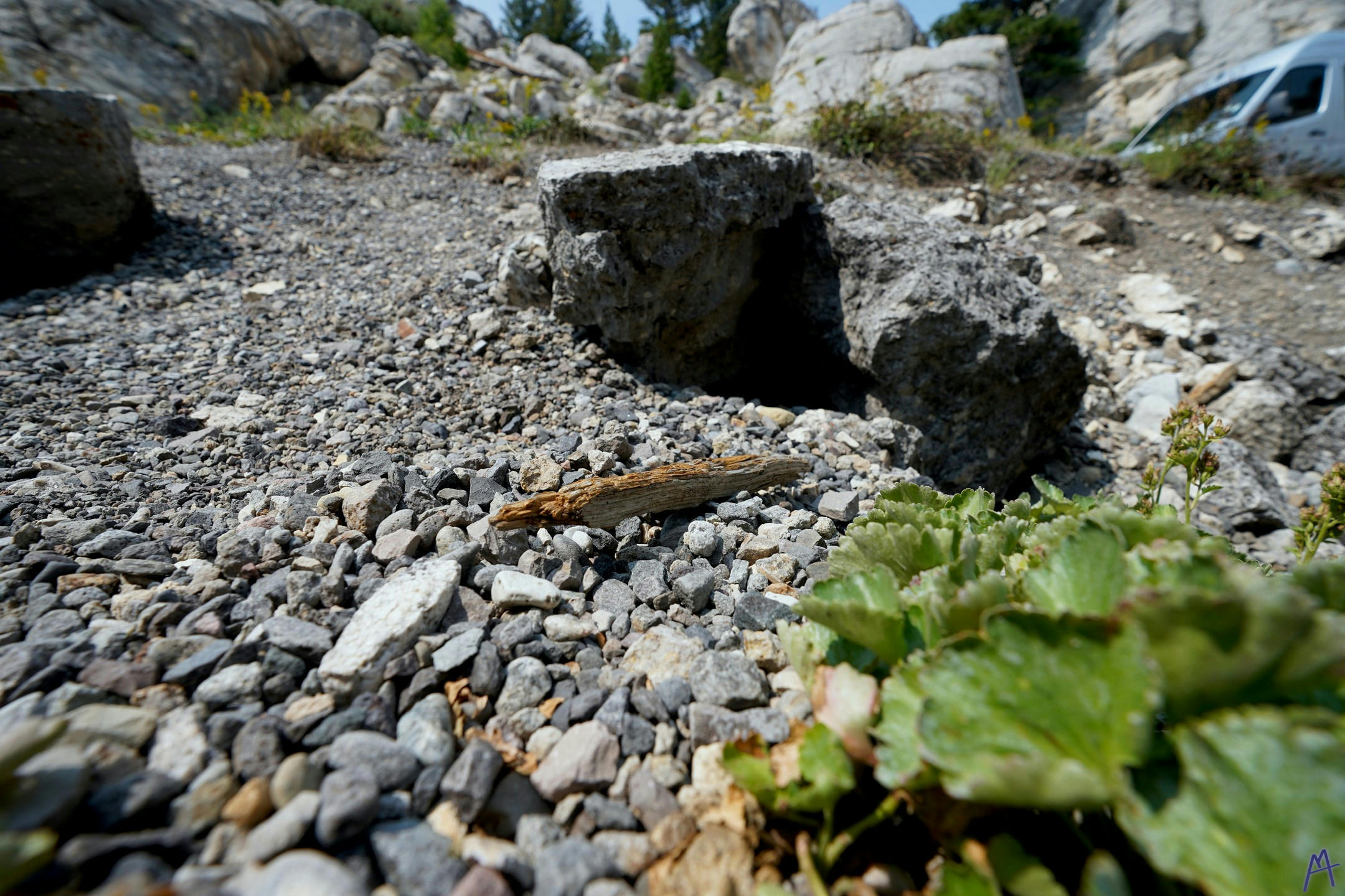 Little piece of wood on small rocks at Yellowstone