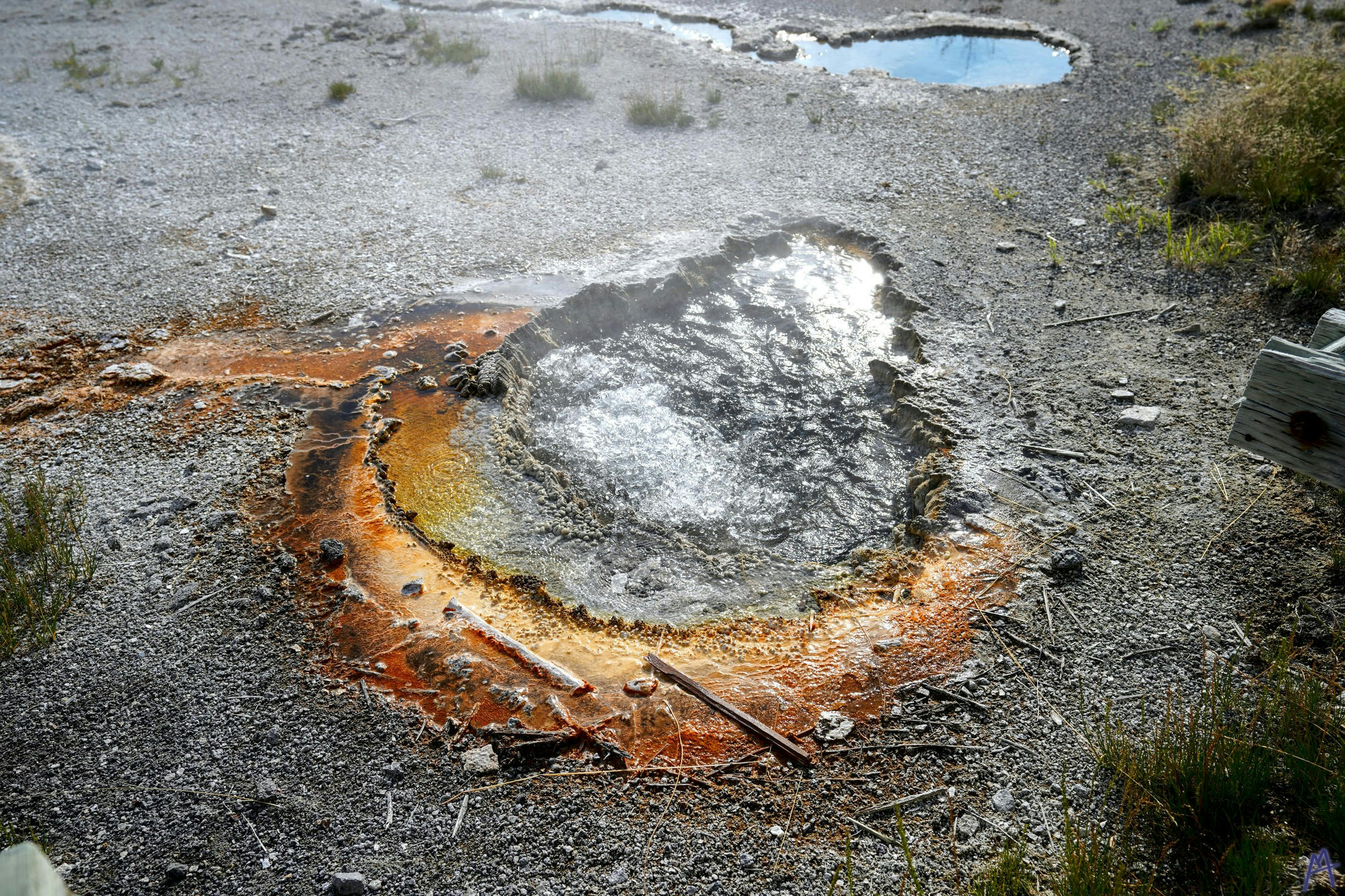 Steamy small hot spring with a little orange runoff at Yellowstone