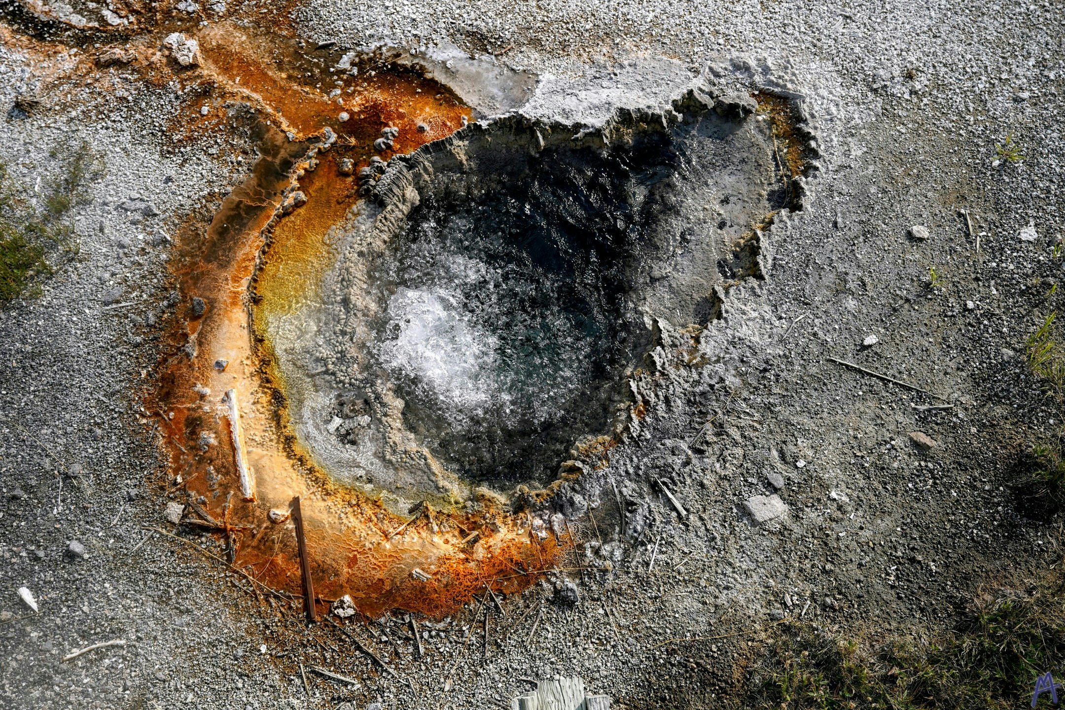 A small gurgling hot spring with orange runoff at Yellowstone