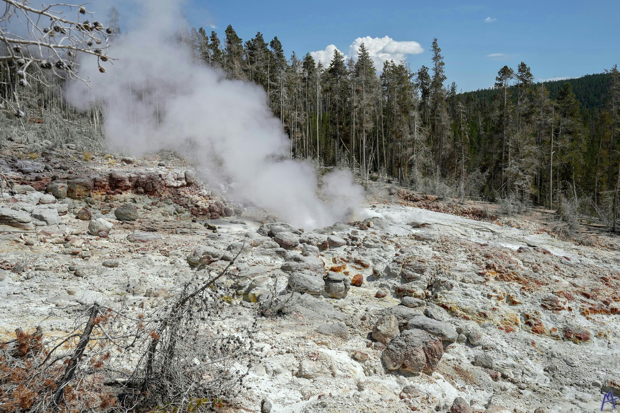 Steam from large hot spring at Yellowstone