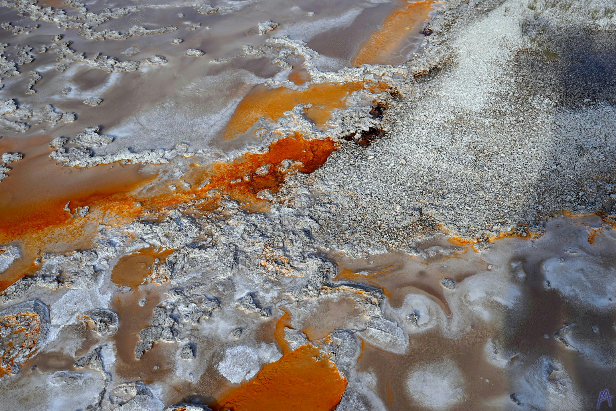 Orange hot spring water near white dirt at Yellowstone