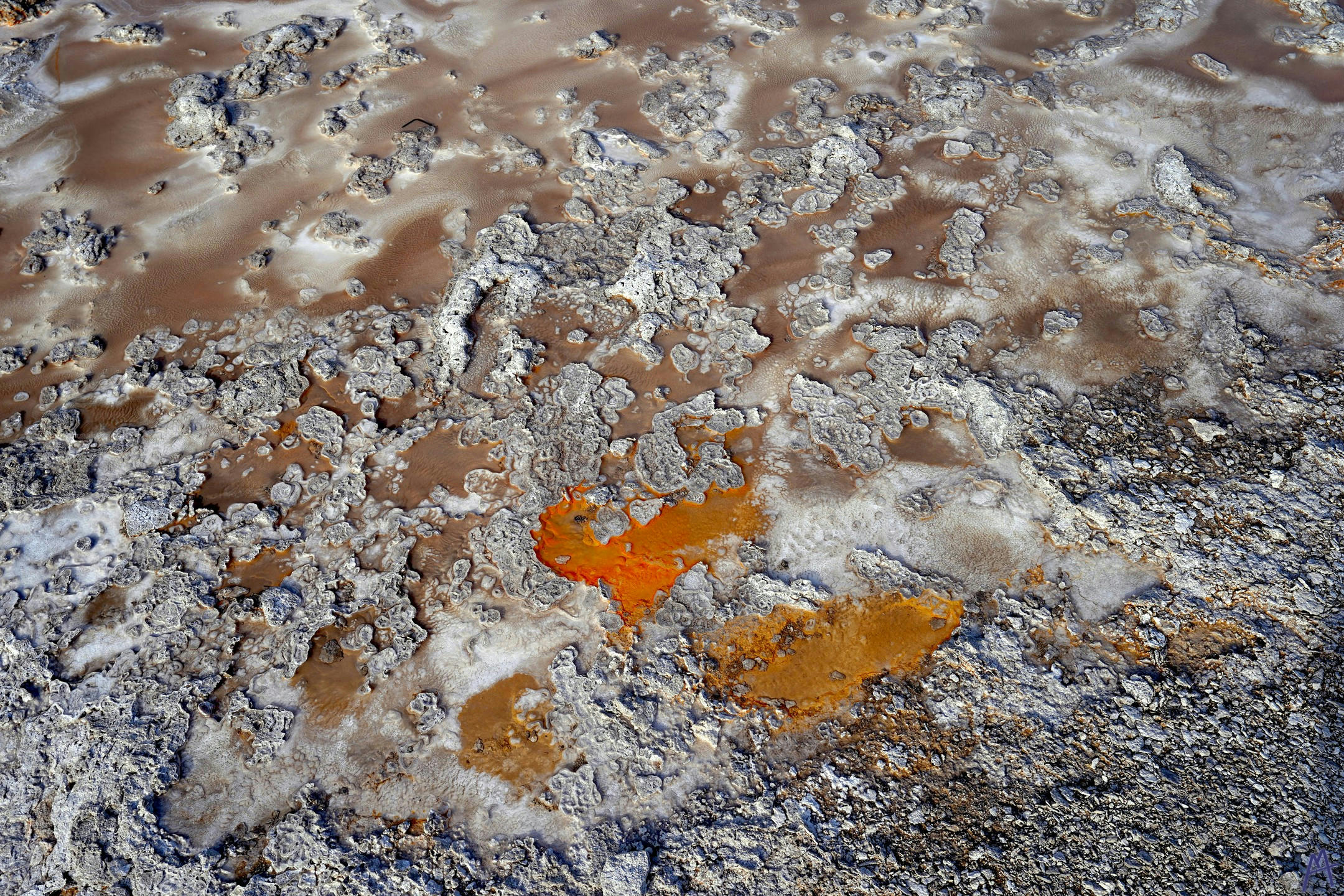 A little orange hot spring runoff at Yellowstone