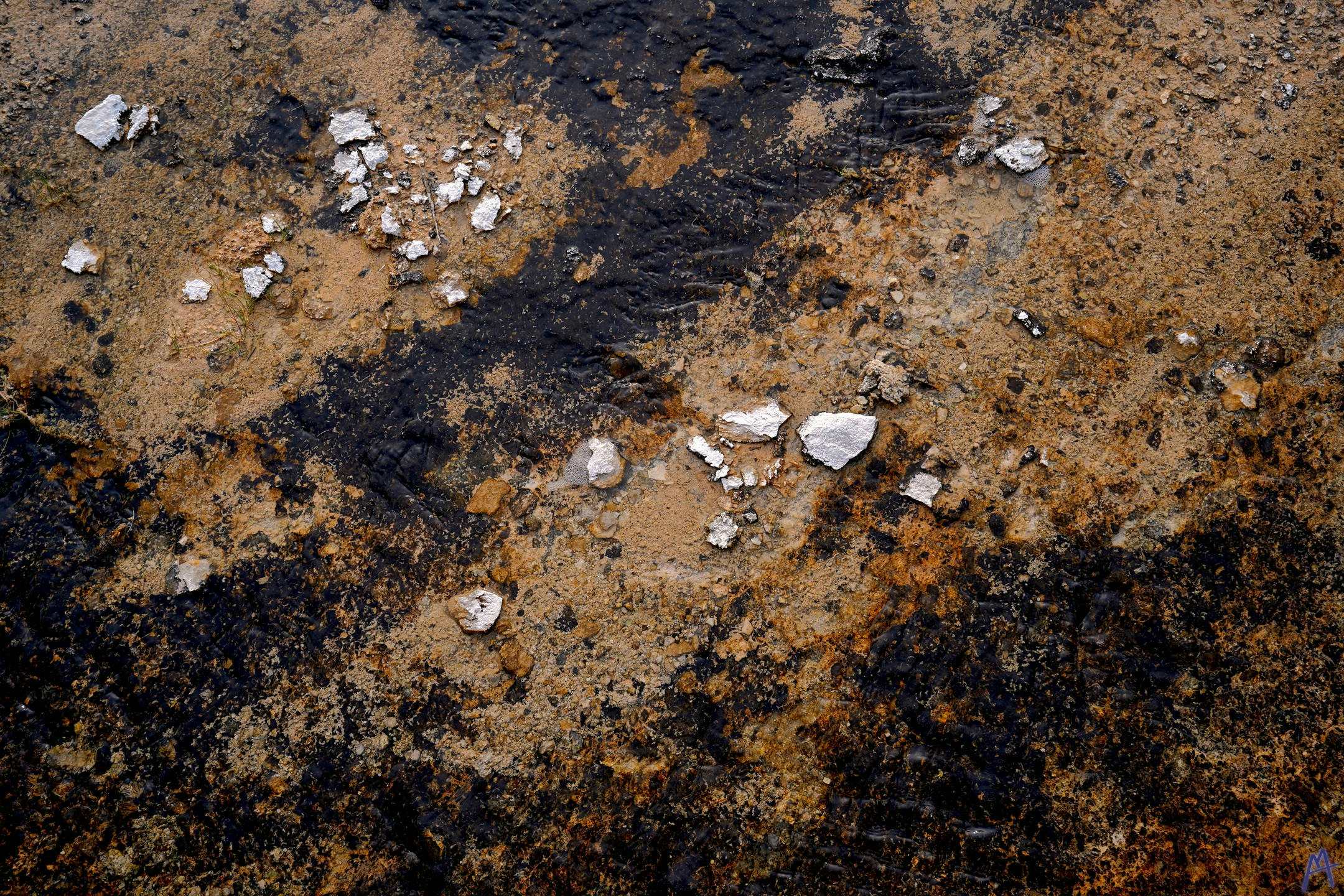 Dark brown and black hot spring runoff at Yellowstone