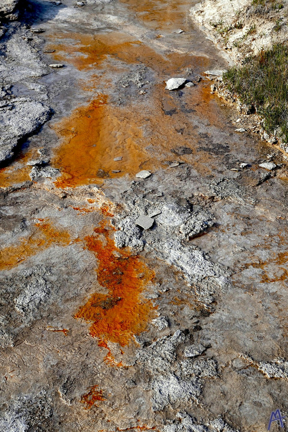 Orange and white hot spring runoff at Yellowstone