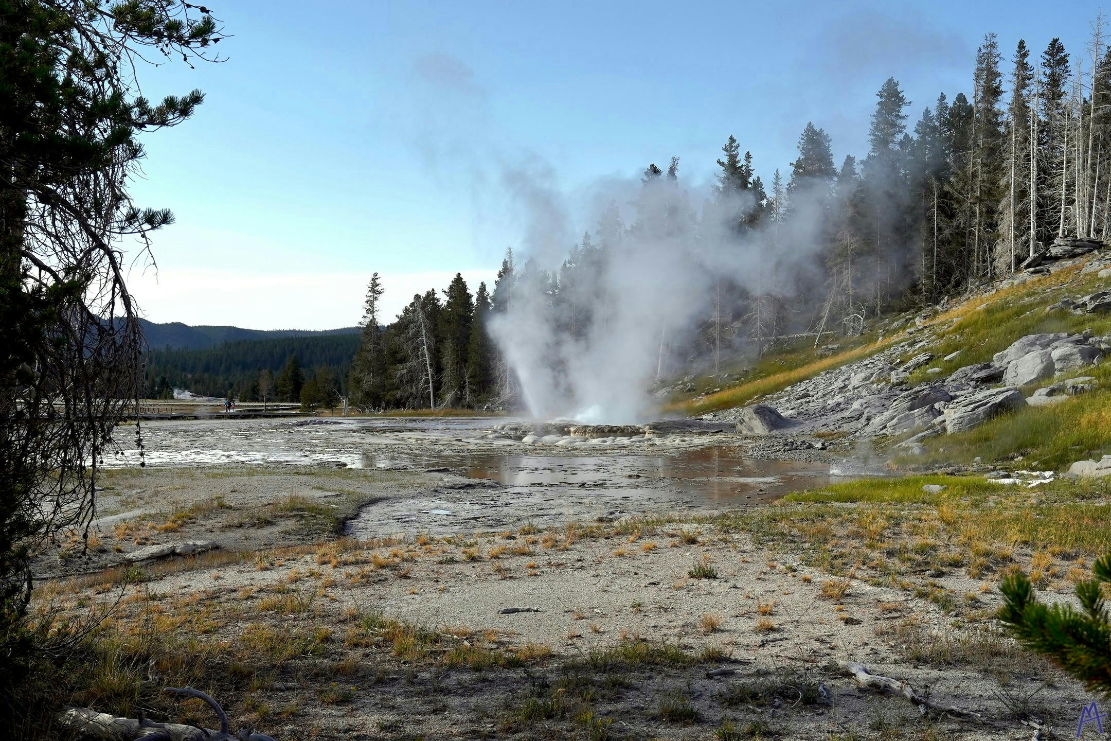 Geyser from far away at Yellowstone