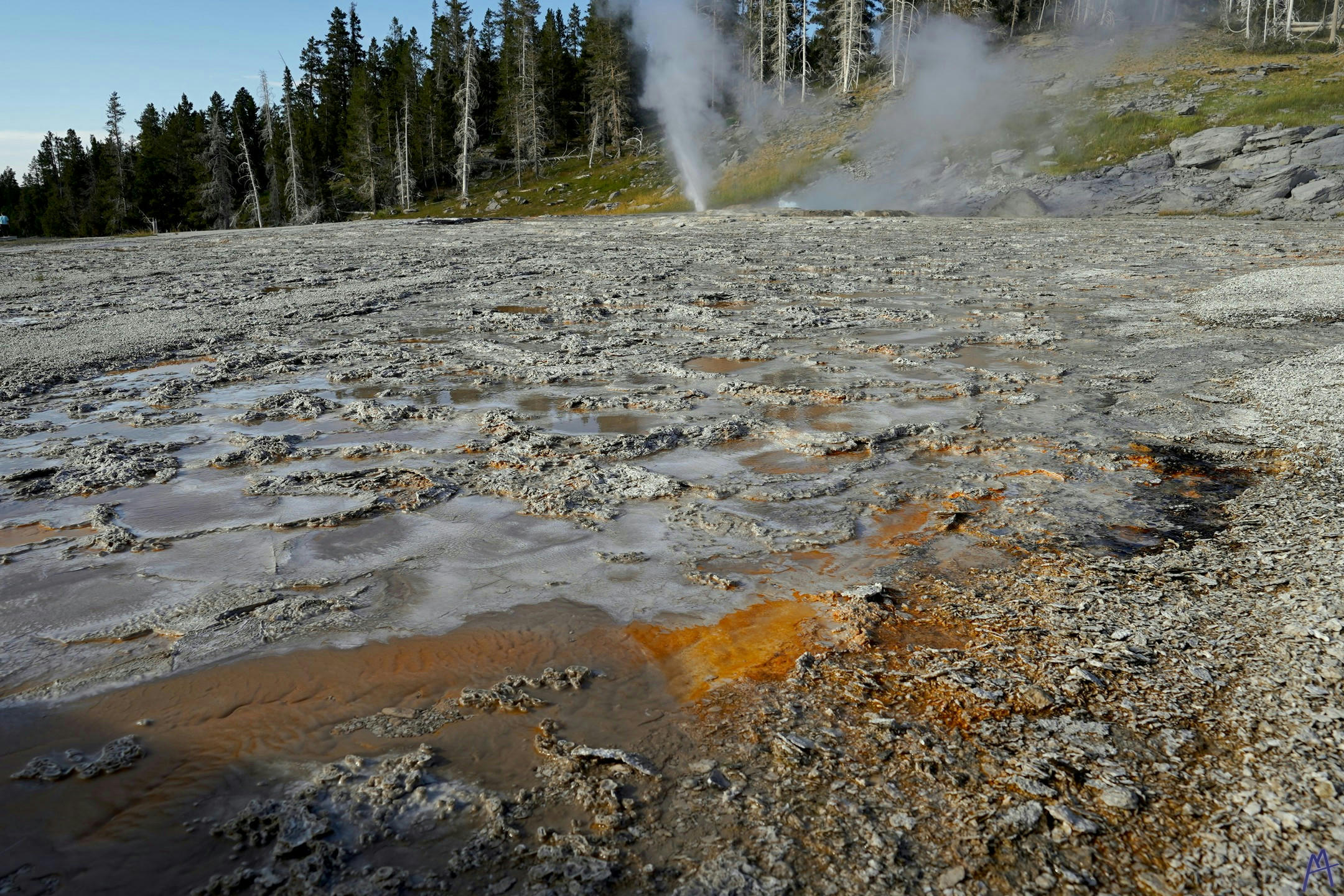 Puddles of hot spring runoff at Yellowstone