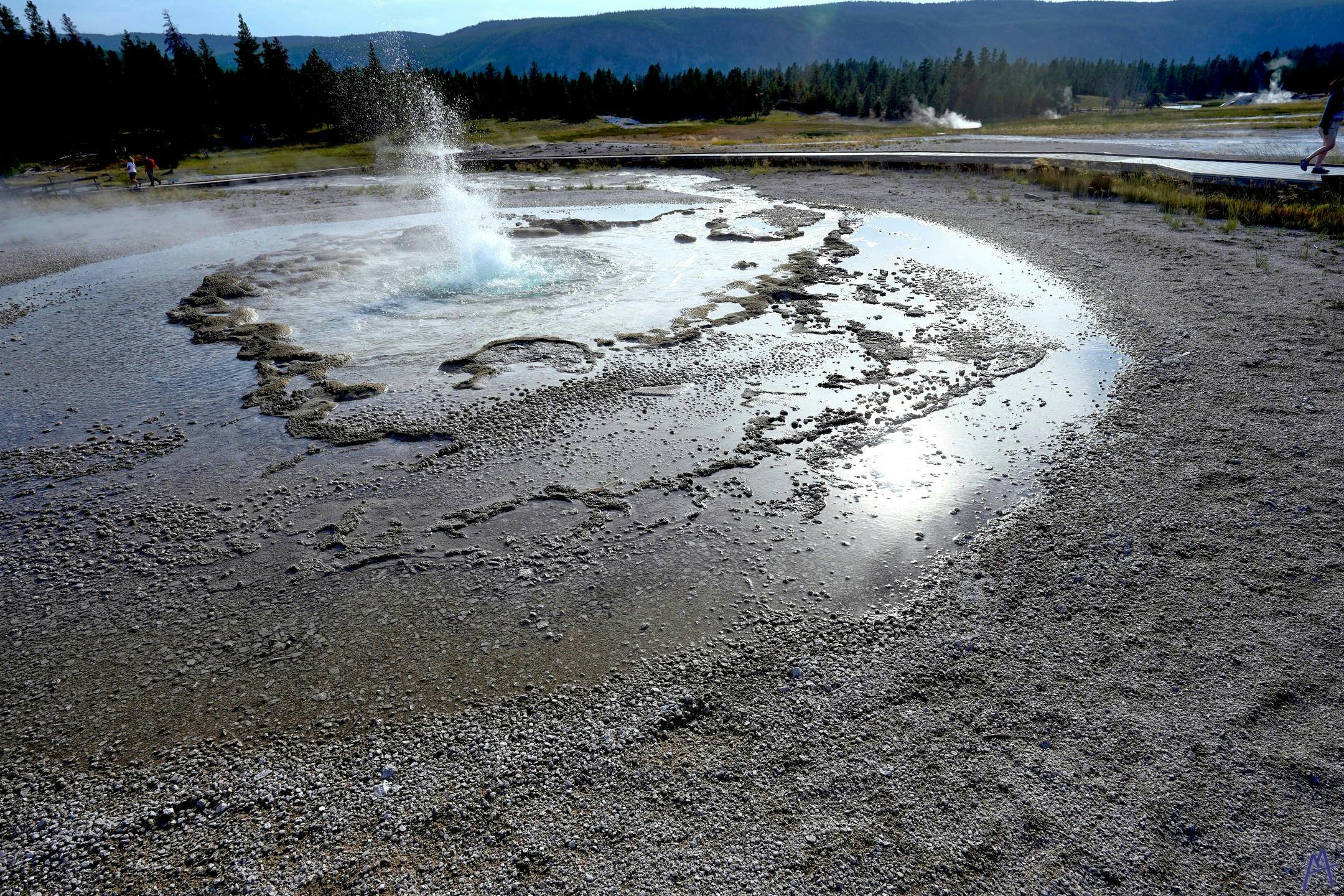 Geyser in circle of runoff at Yellowstone