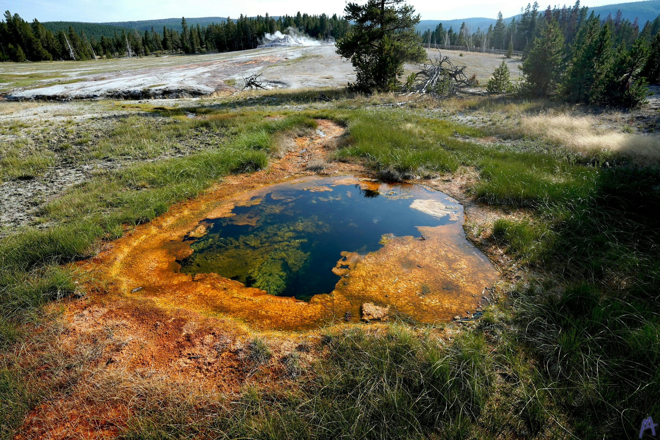 Orange hot spring surrounded by grass at Yellowstone
