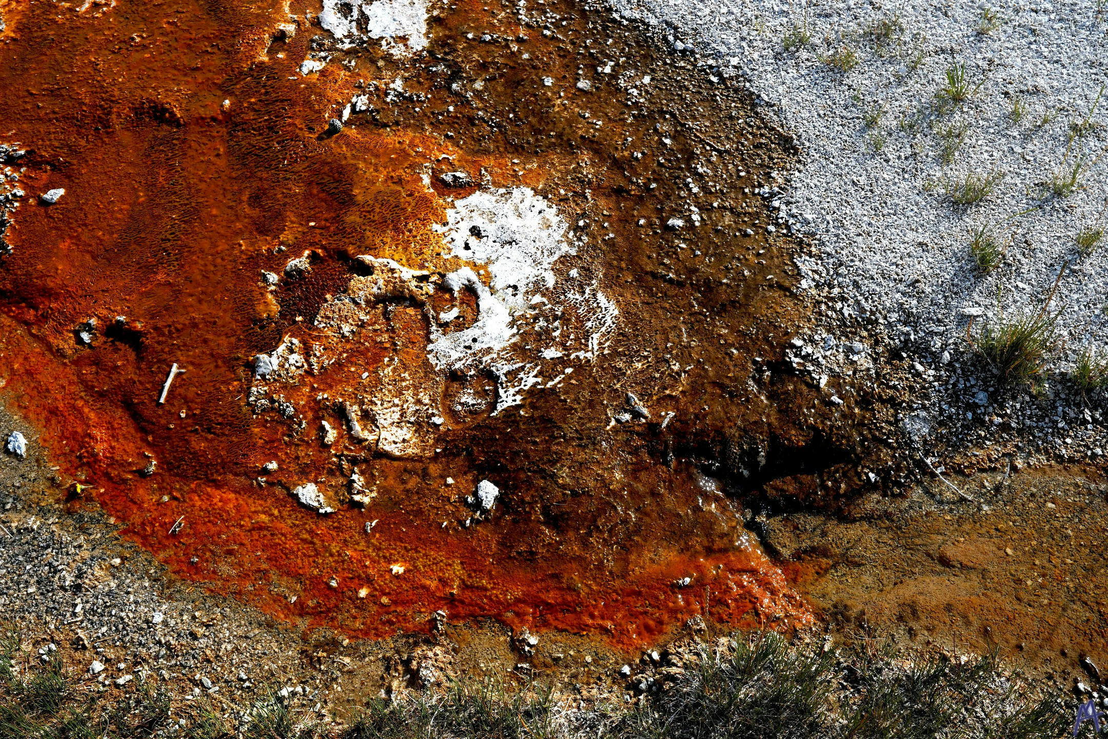 Red orange hot spring runoff at Yellowstone