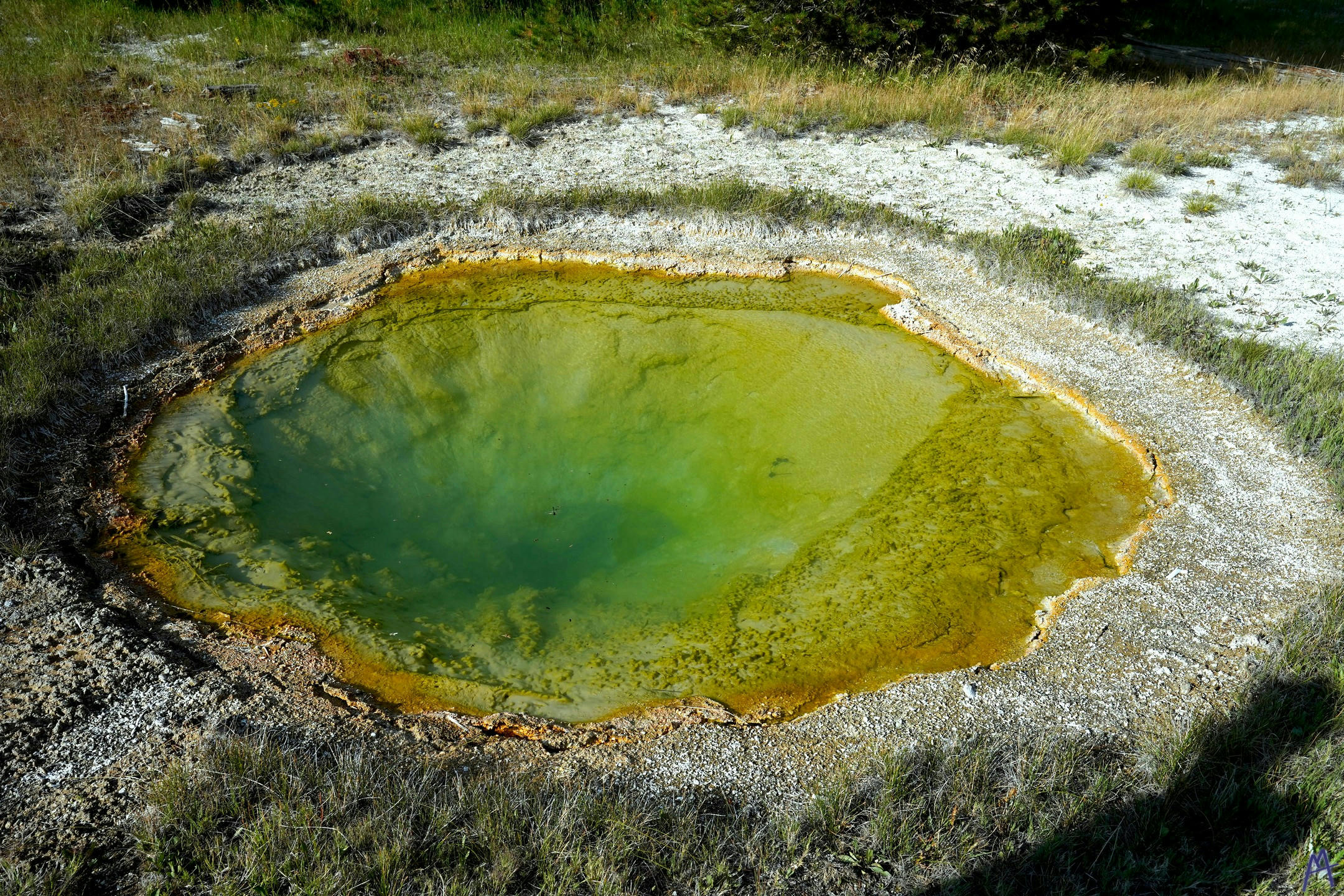 Green and yellow hot spring at Yellowstone