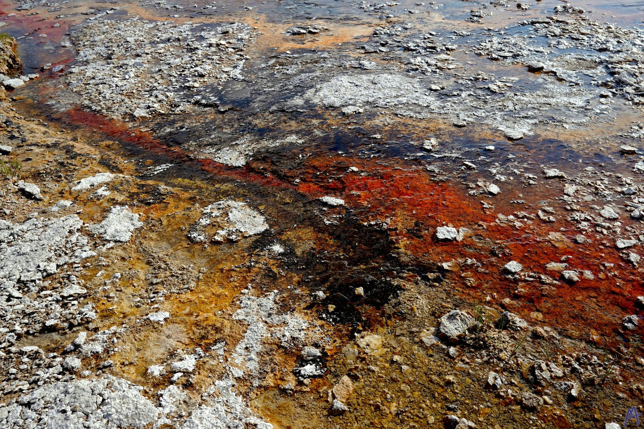 Red orange and black hot spring runoff at Yellowstone