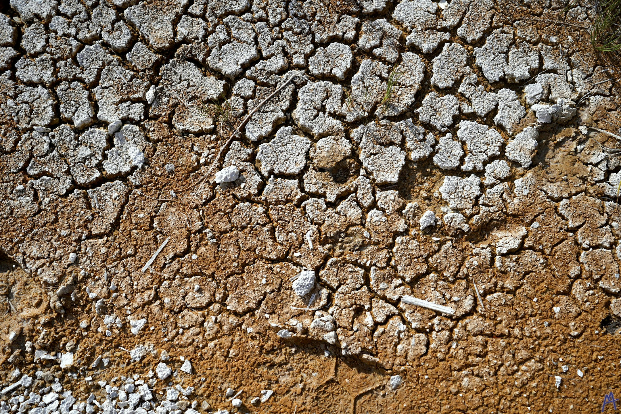 Dry cracked brown and white dirt at Yellowstone