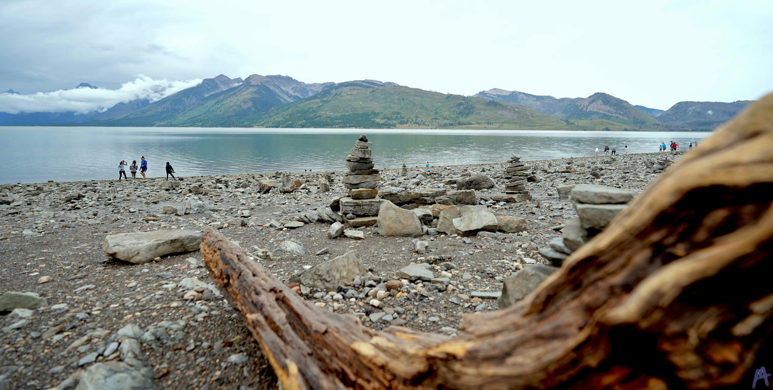 Pile of rocks near drift wood at a beach at Grand Teton