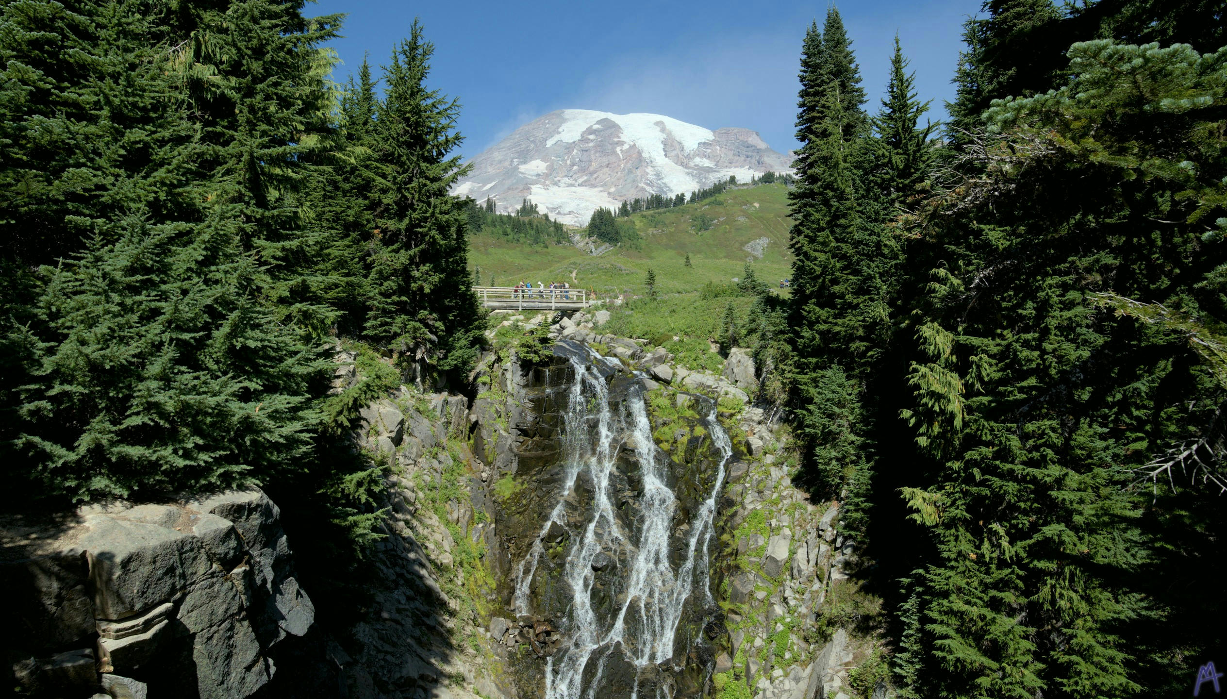 Green trees and a waterfall at Rainier