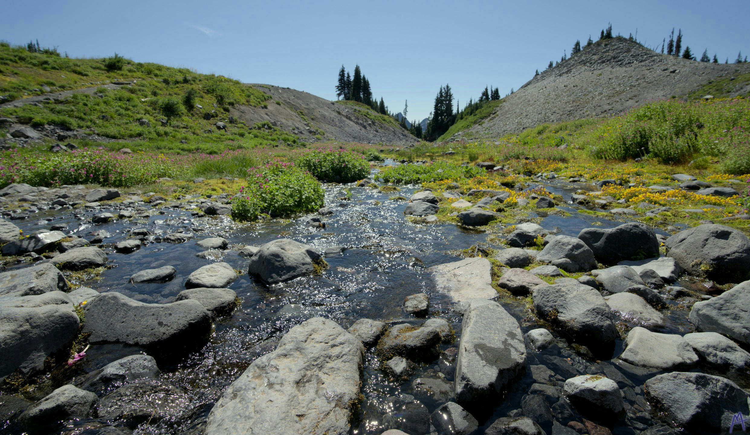 Small spring with rocks between hills at Rainier