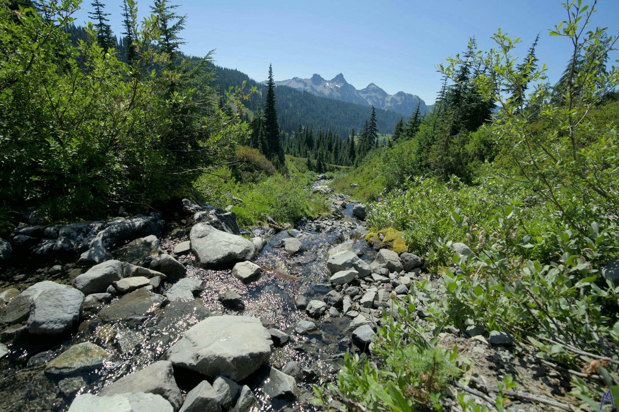 A creek flowing down rocks through some bushes with mountains in the background at Rainier