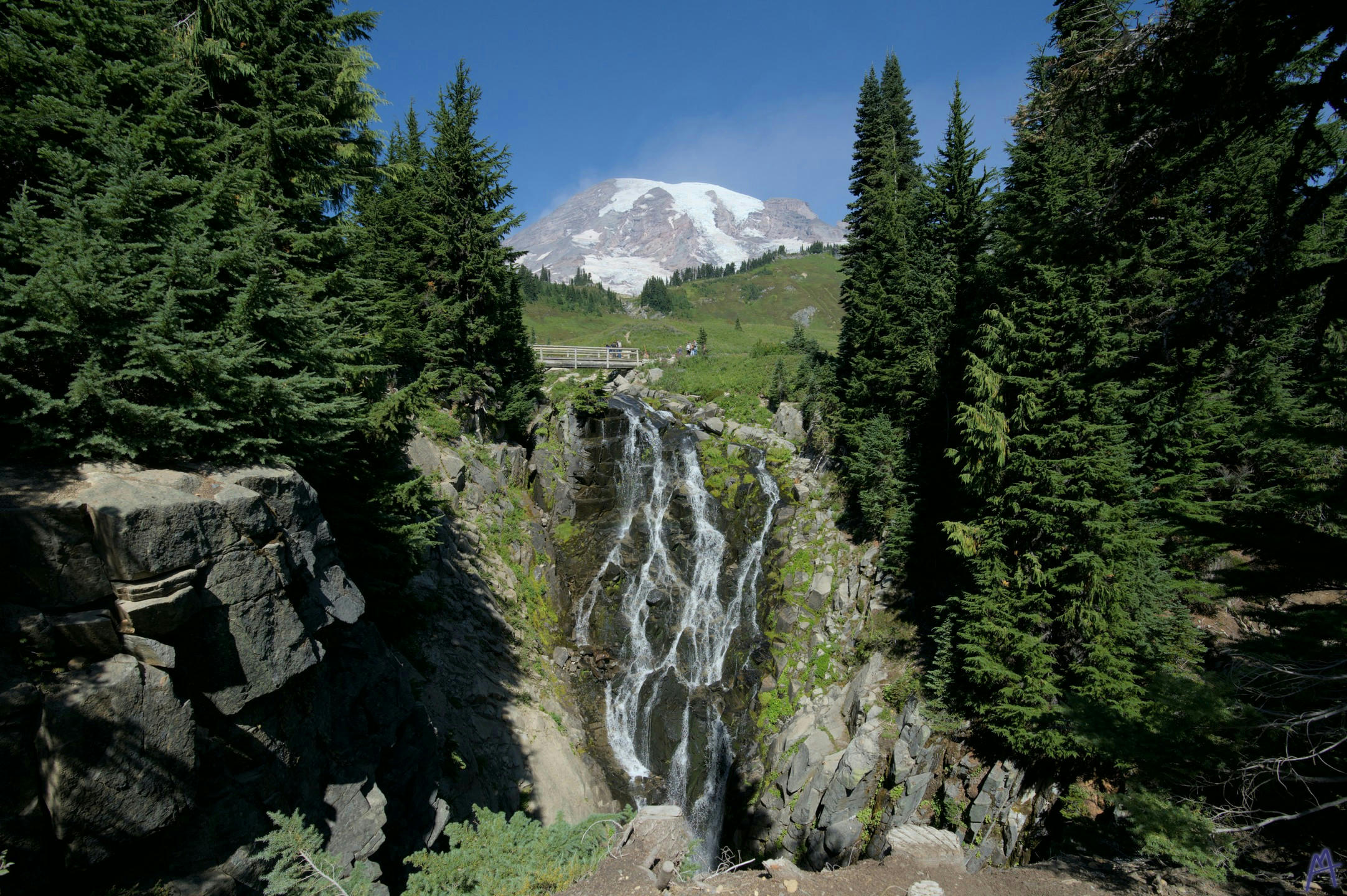 A waterfall with trees around it at Rainier
