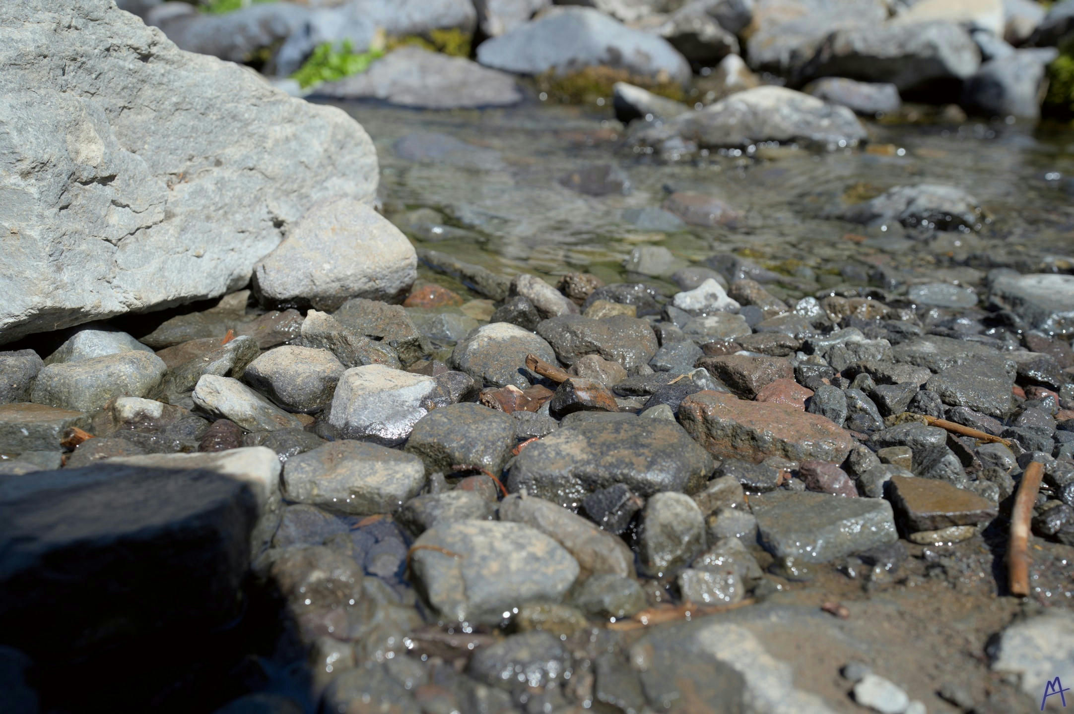 Small stream with rocks and little sticks at Rainier
