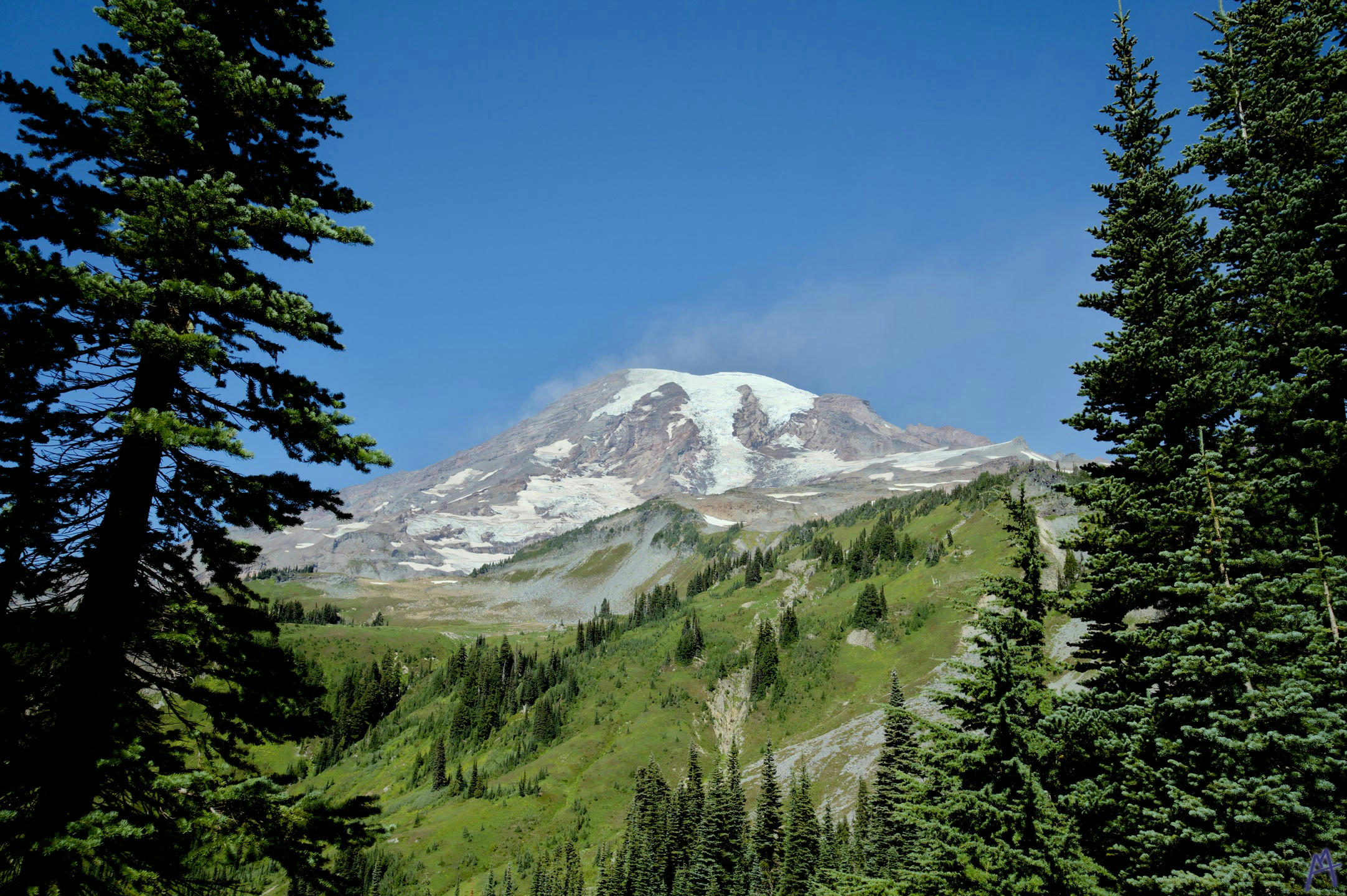 Mount at Rainier from below at Rainier