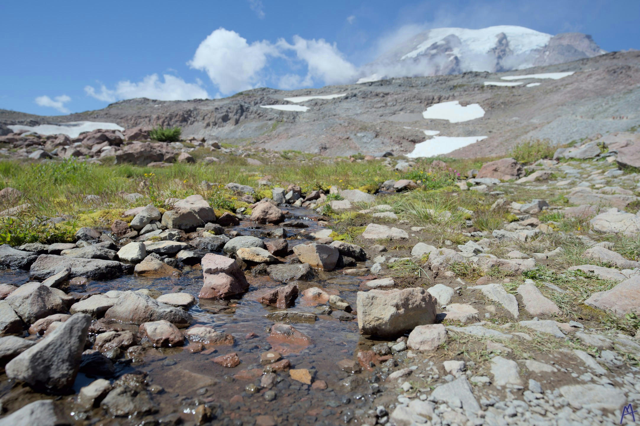 Small creek with rocks in a meadow at Rainier