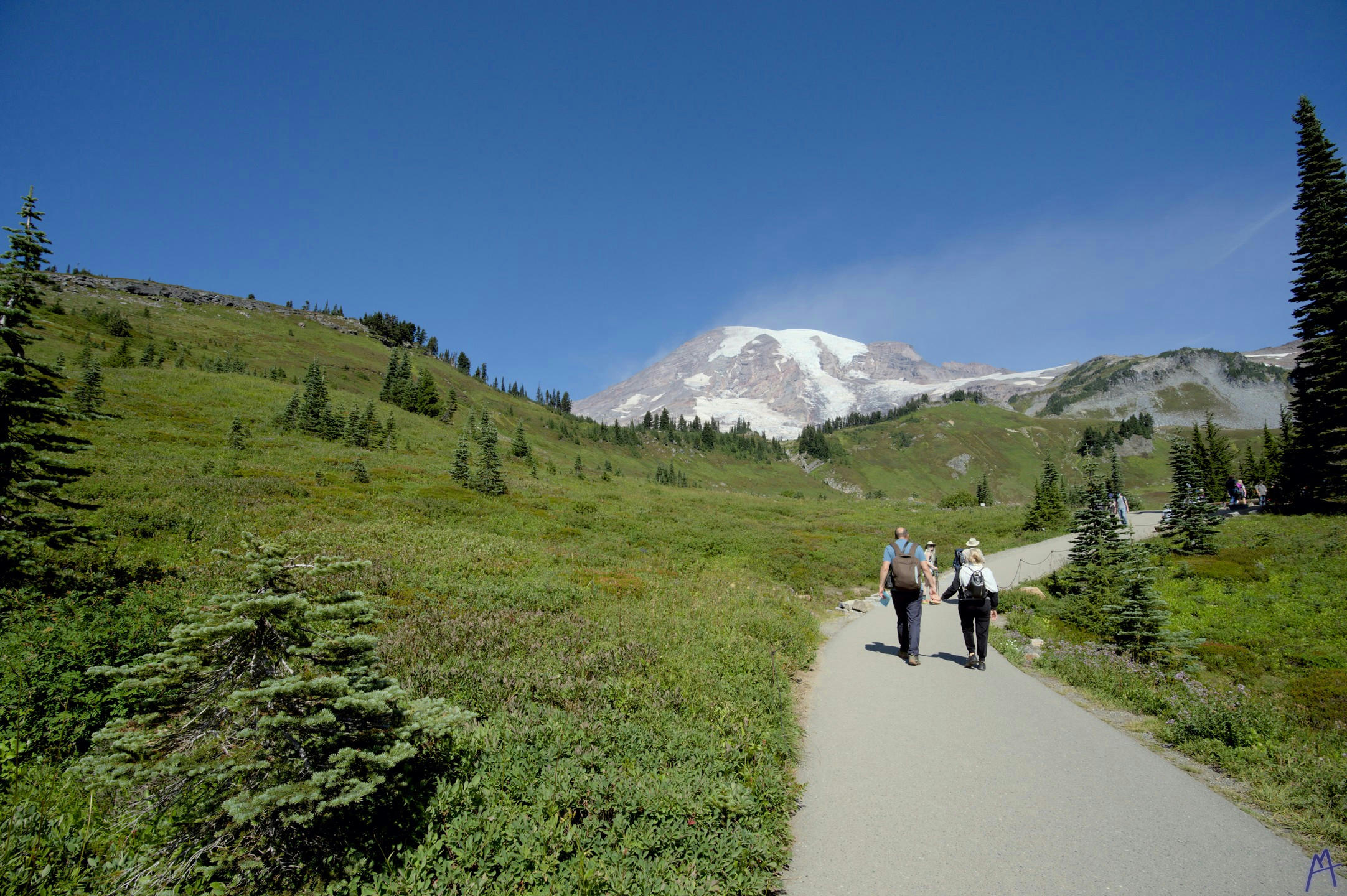 Path with people walking towards the mountain at Rainier