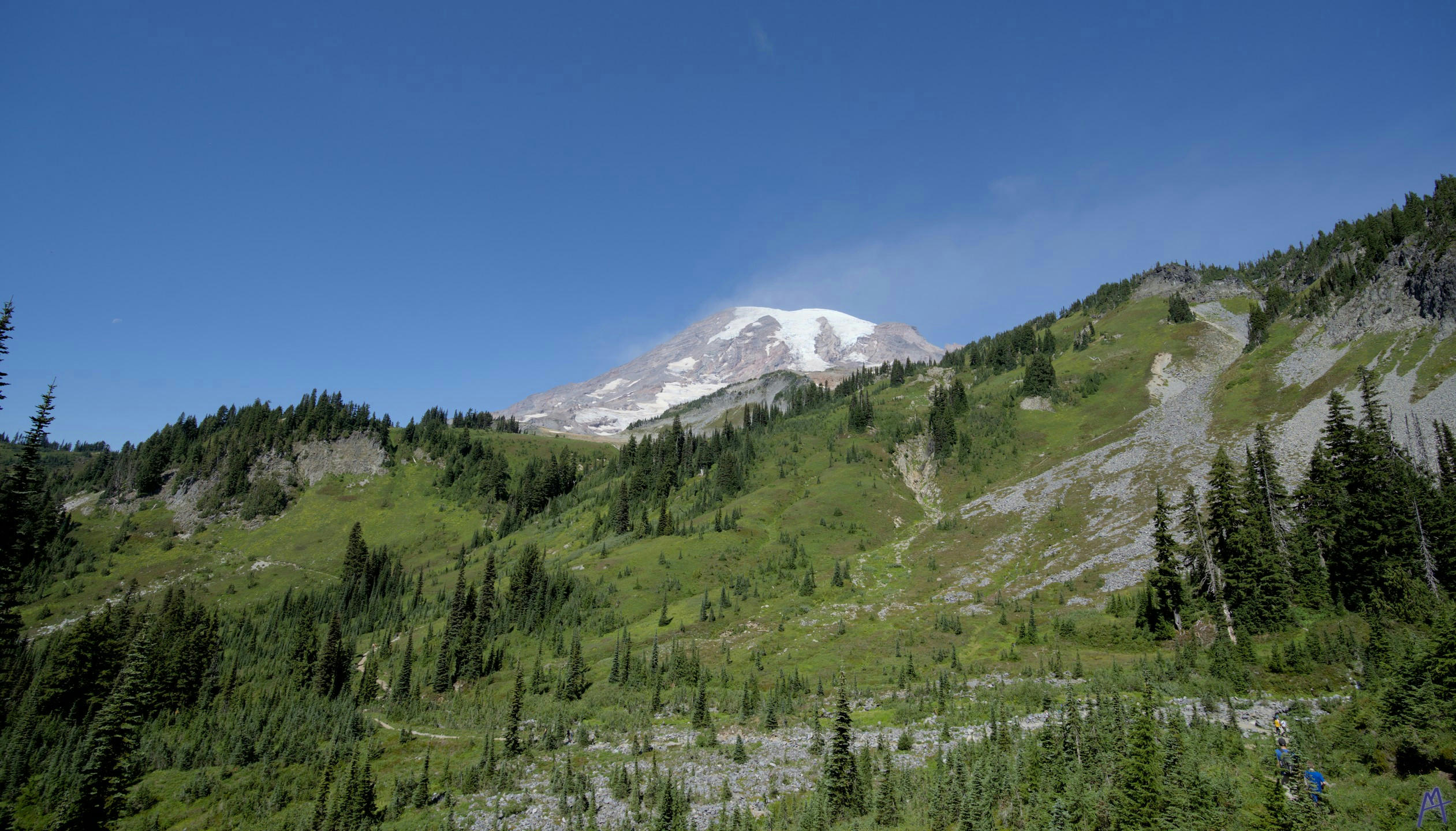 The mountain peaking over a ridge with many trees at Rainier