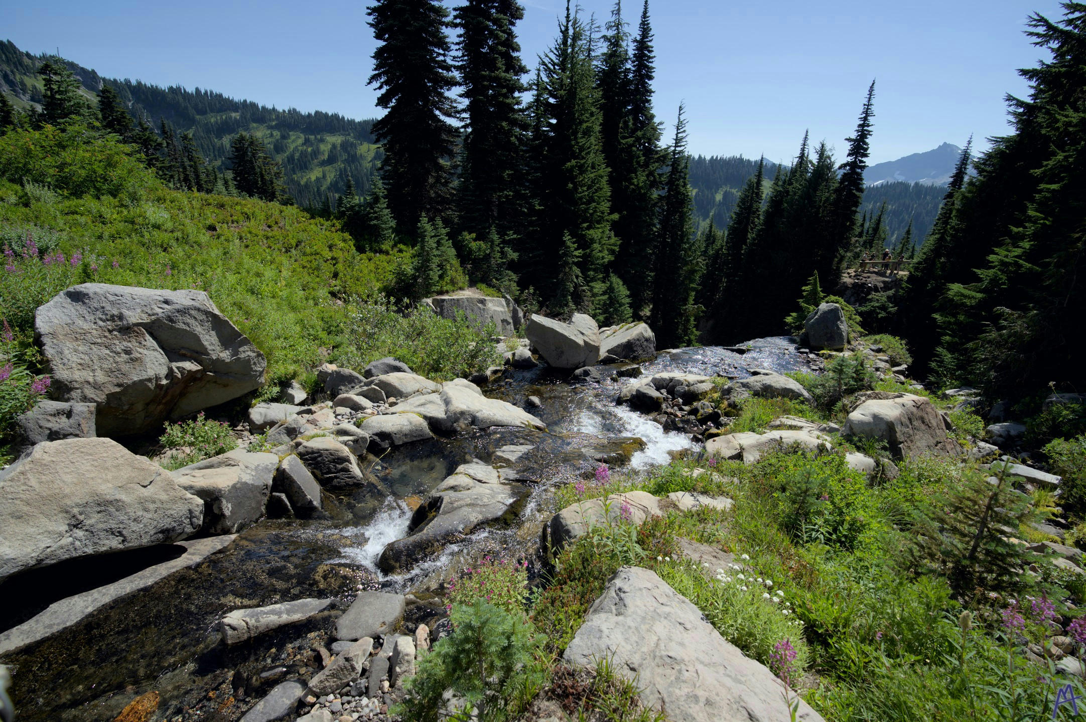 Little creek flowing down the mountain at Rainier