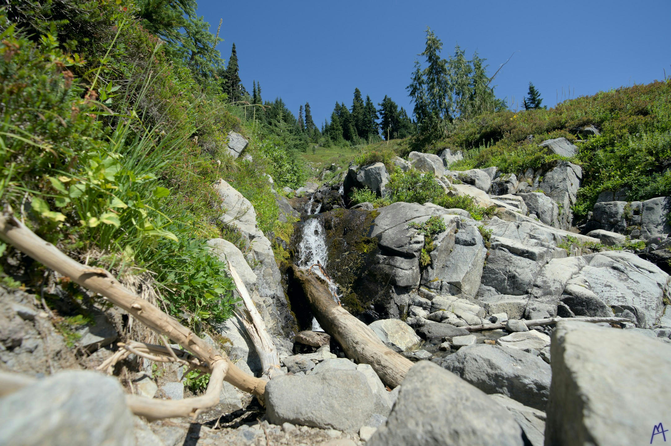 Rocks near a small waterfall at Rainier