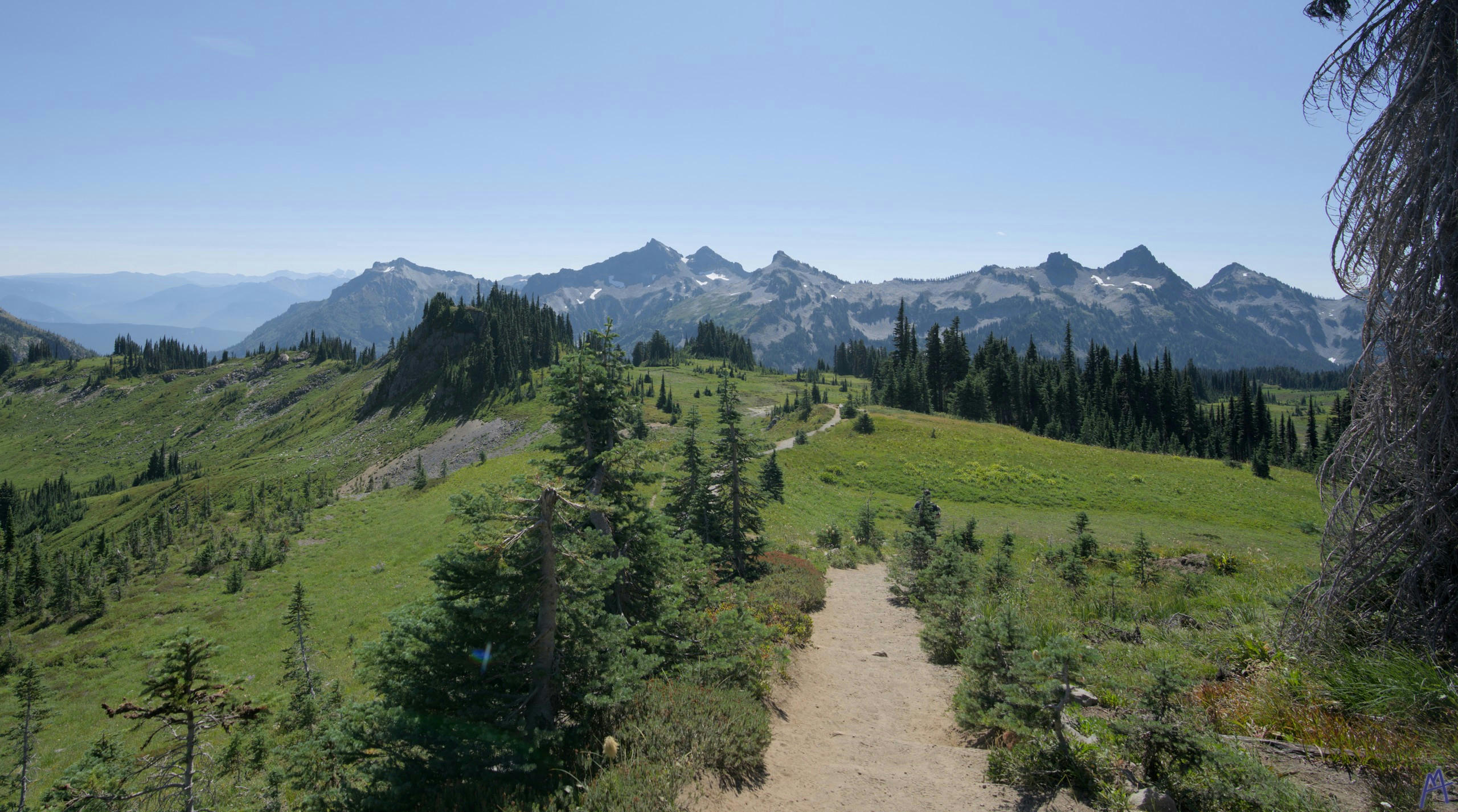 A curving path through the green hills at Rainier