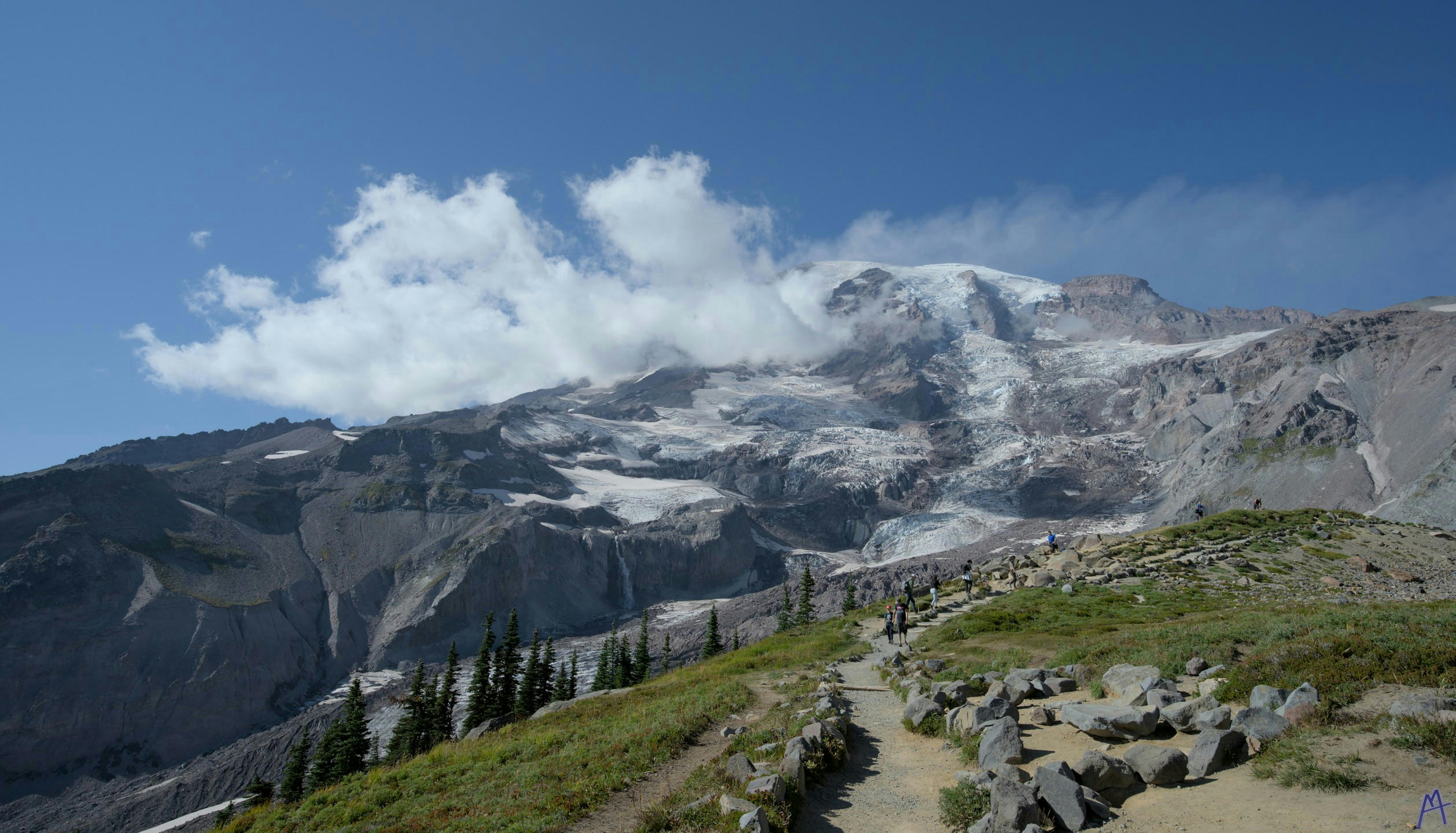 Mountain view of the path at Rainier