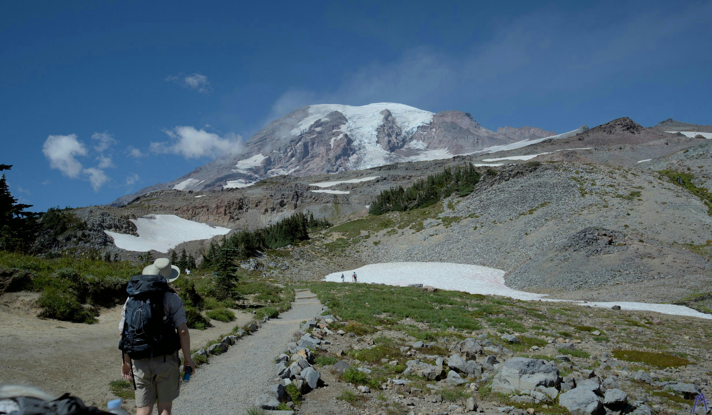 Path near snow to the mountain at Rainier