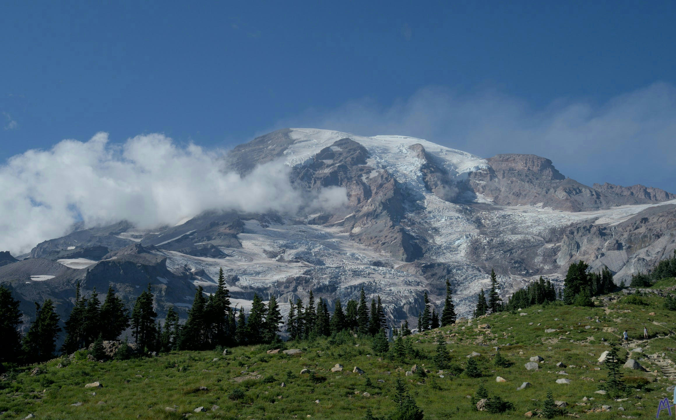 The mountain with a ridge of trees at Rainier