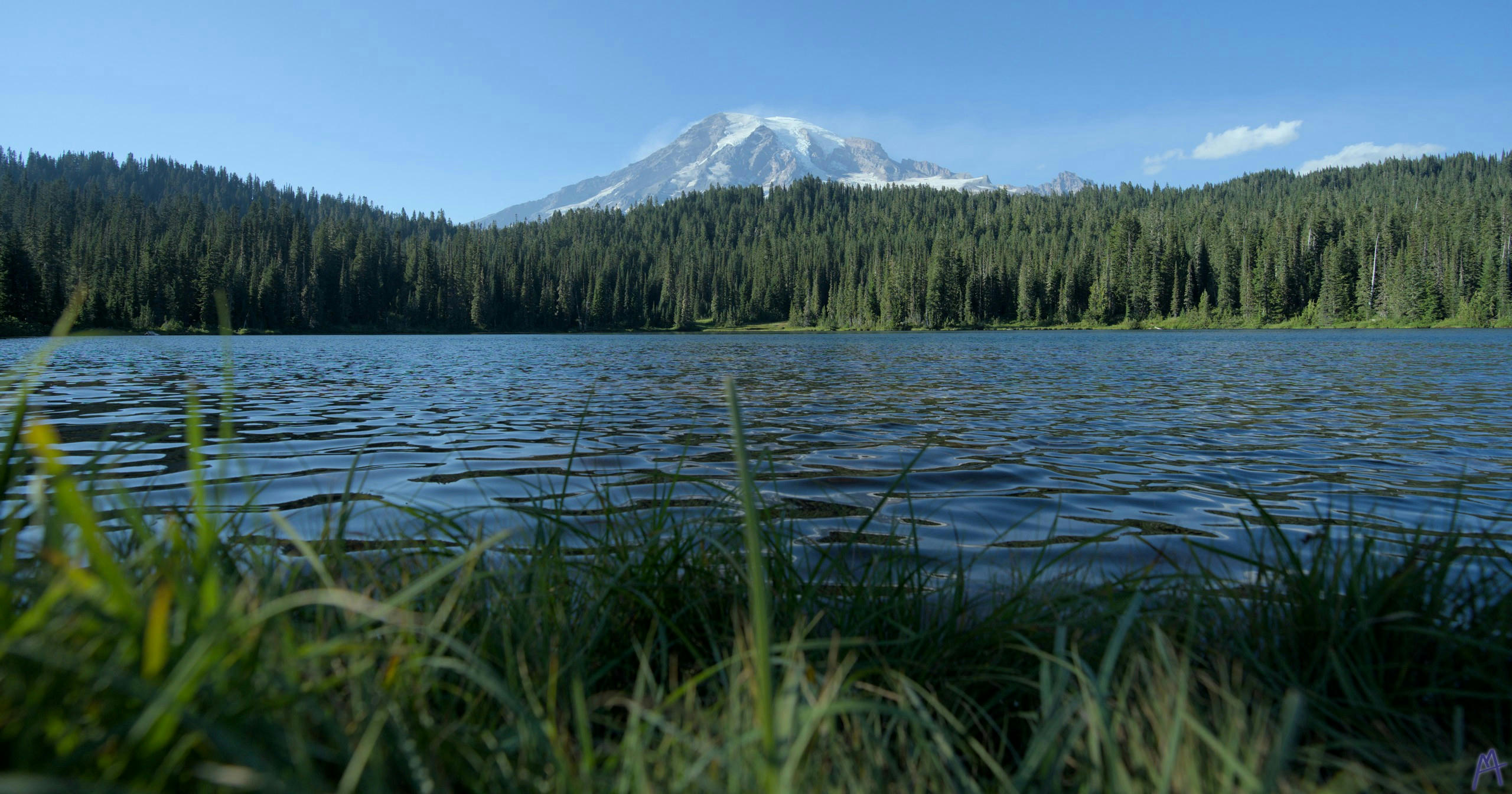 Blue lake surrounded by green trees with a view of the mountain at Rainier