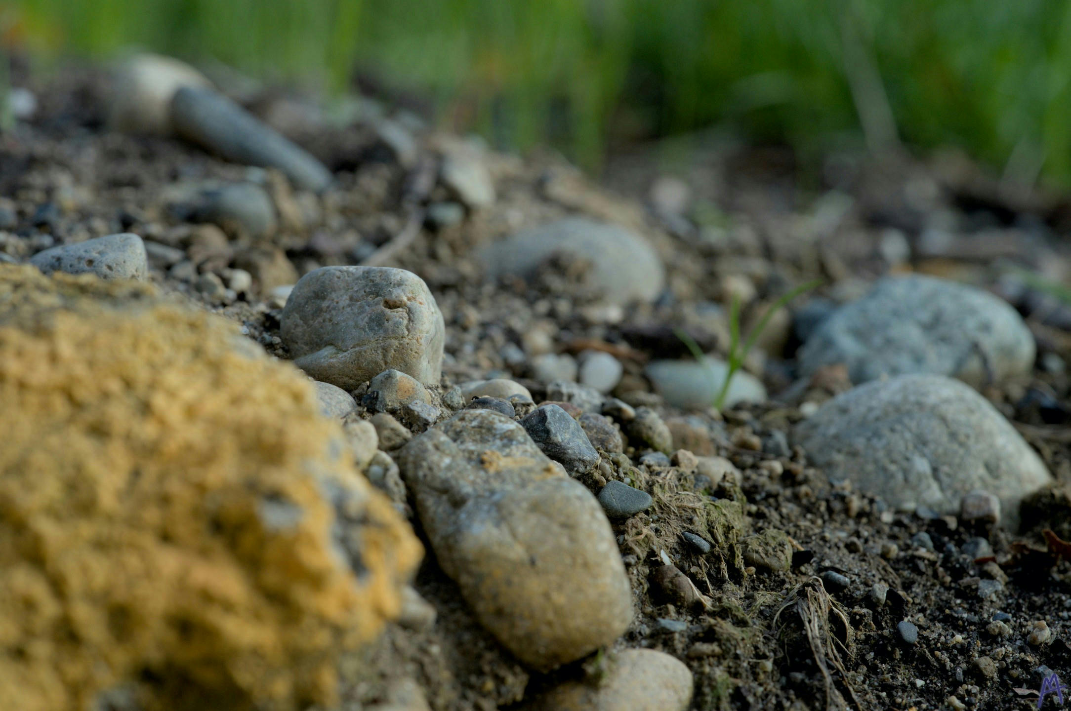 Little gray stone on the ground near others